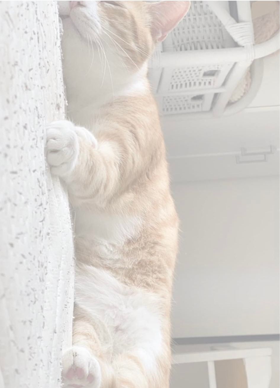 Vodka - 41300, La Ferté-Imbault