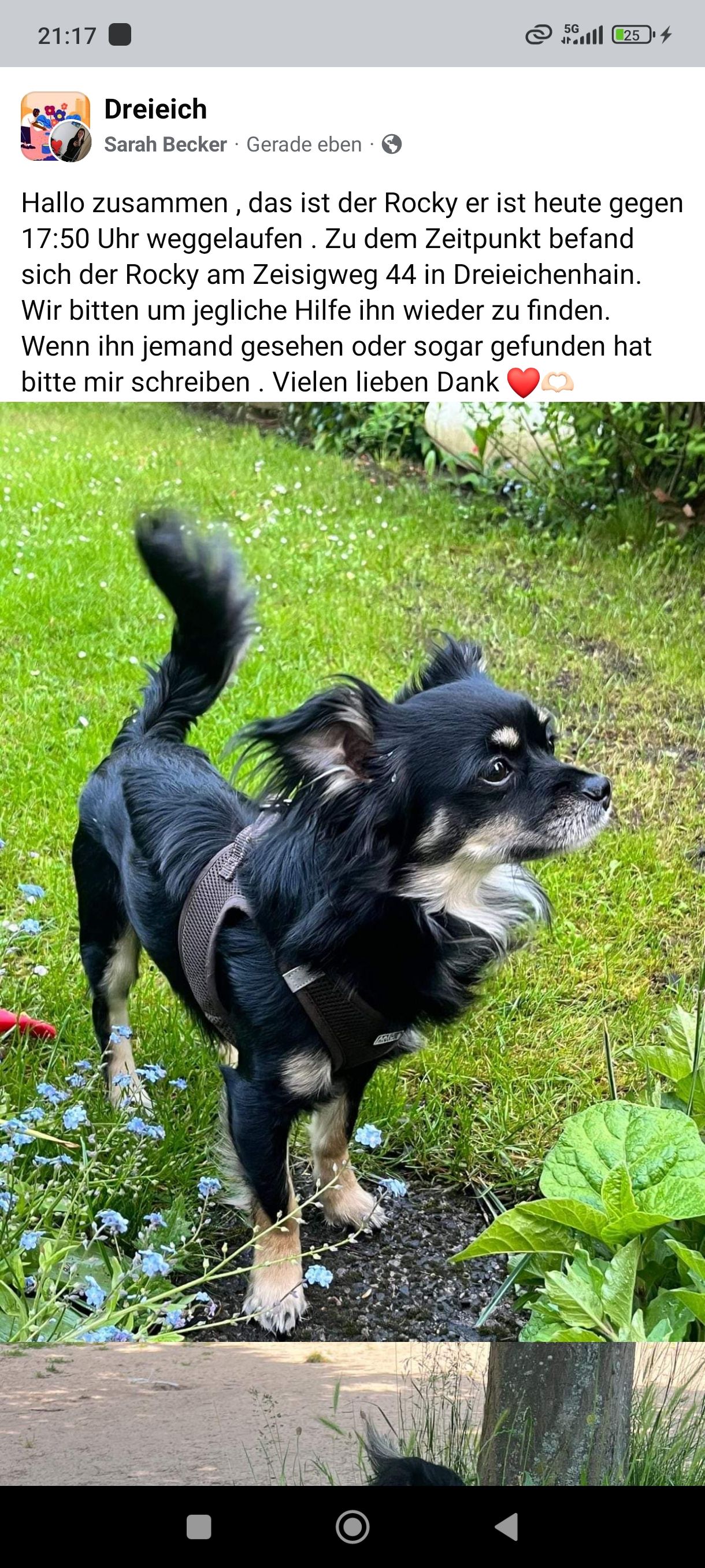 Rocky - Zeisigweg, Dreieich