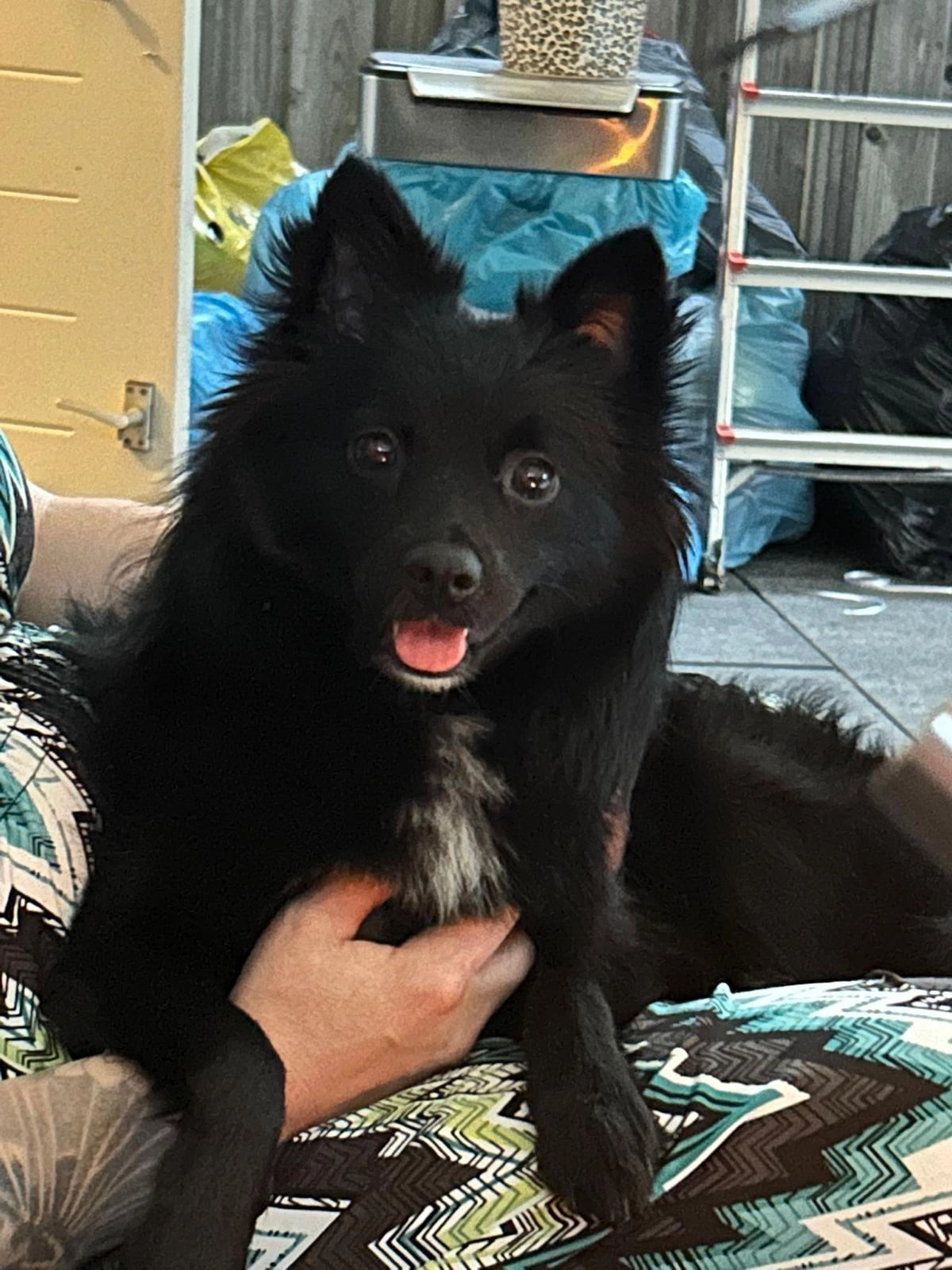 Nala - Smaragd, 's-Hertogenbosch