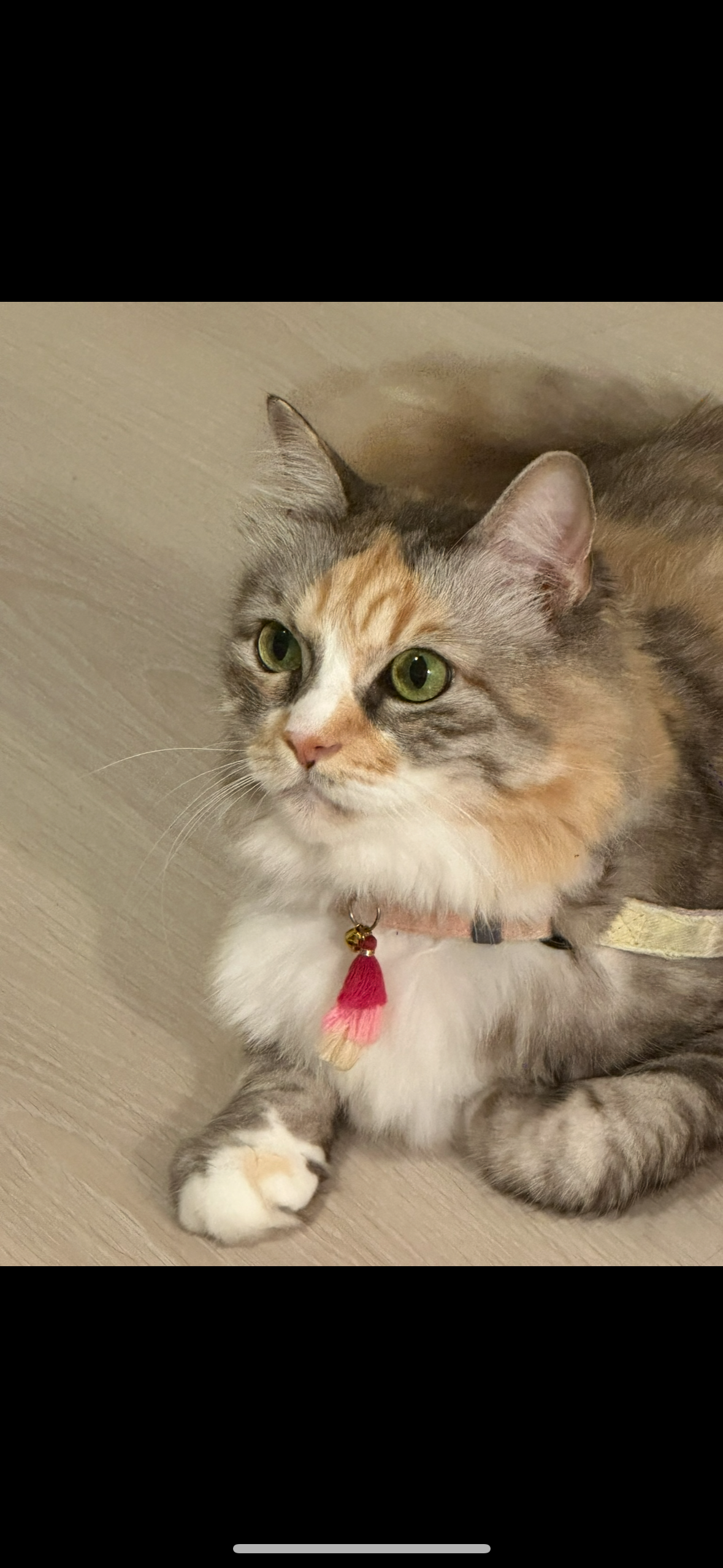 Miu Miu - Soi Muban Indy 1 km.7, Bang Kaeo