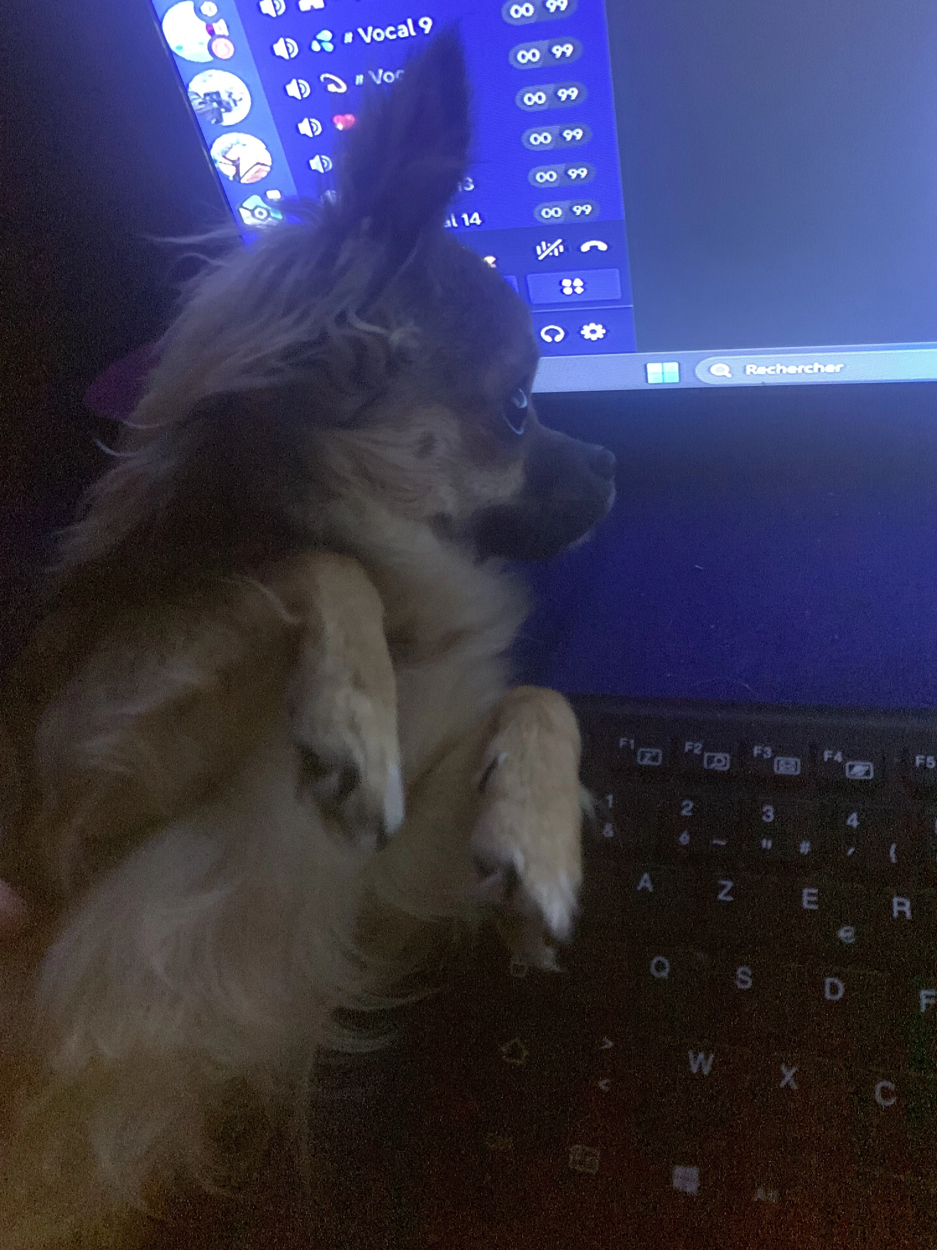 Rex - 7 Boulevard Condorcet, Vernouillet