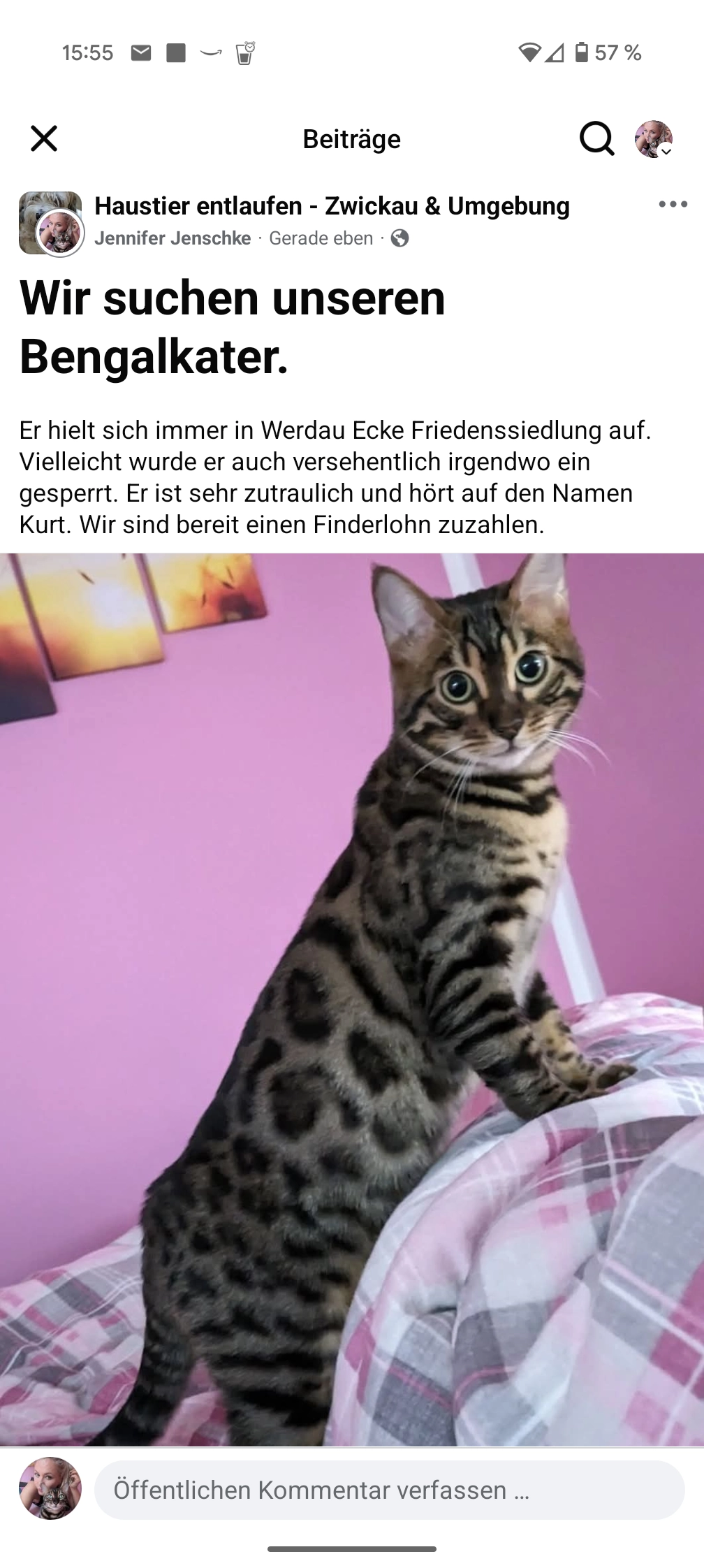 Kurt  - Alexander-Lincke-Straße, Werdau