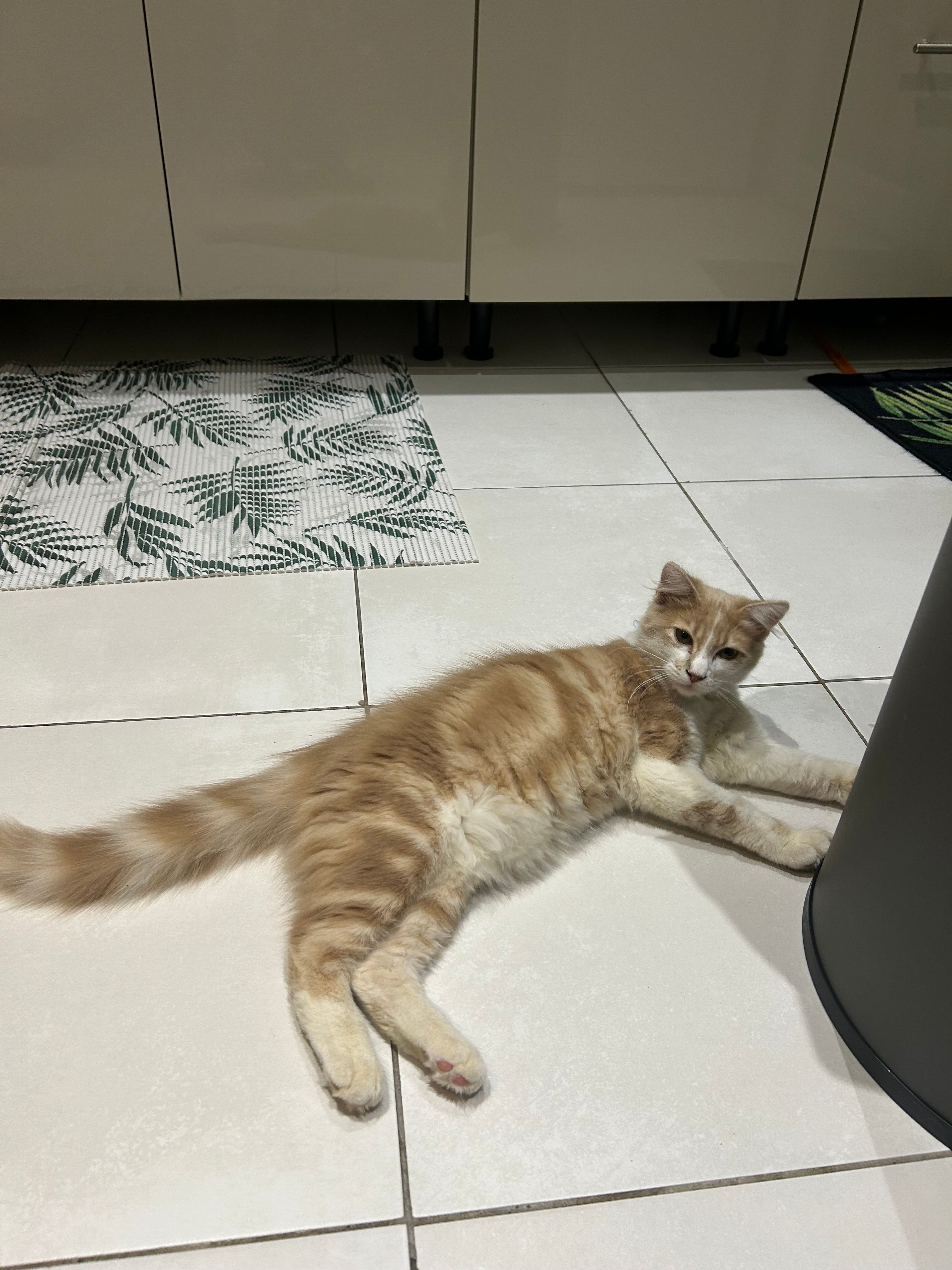 Tweet - 34480, Laurens