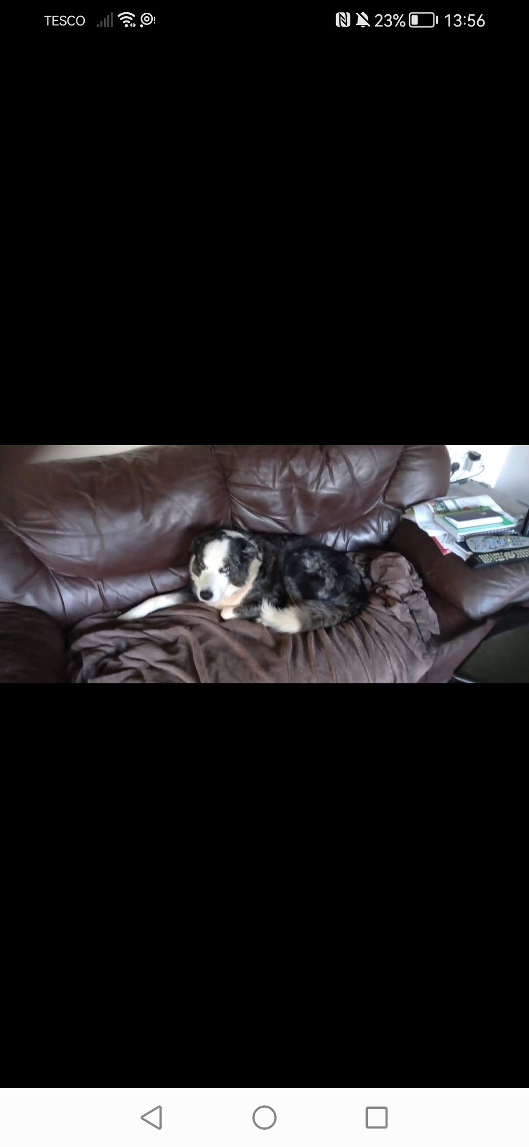 Shadow - Netley Meadow, Saint Austell