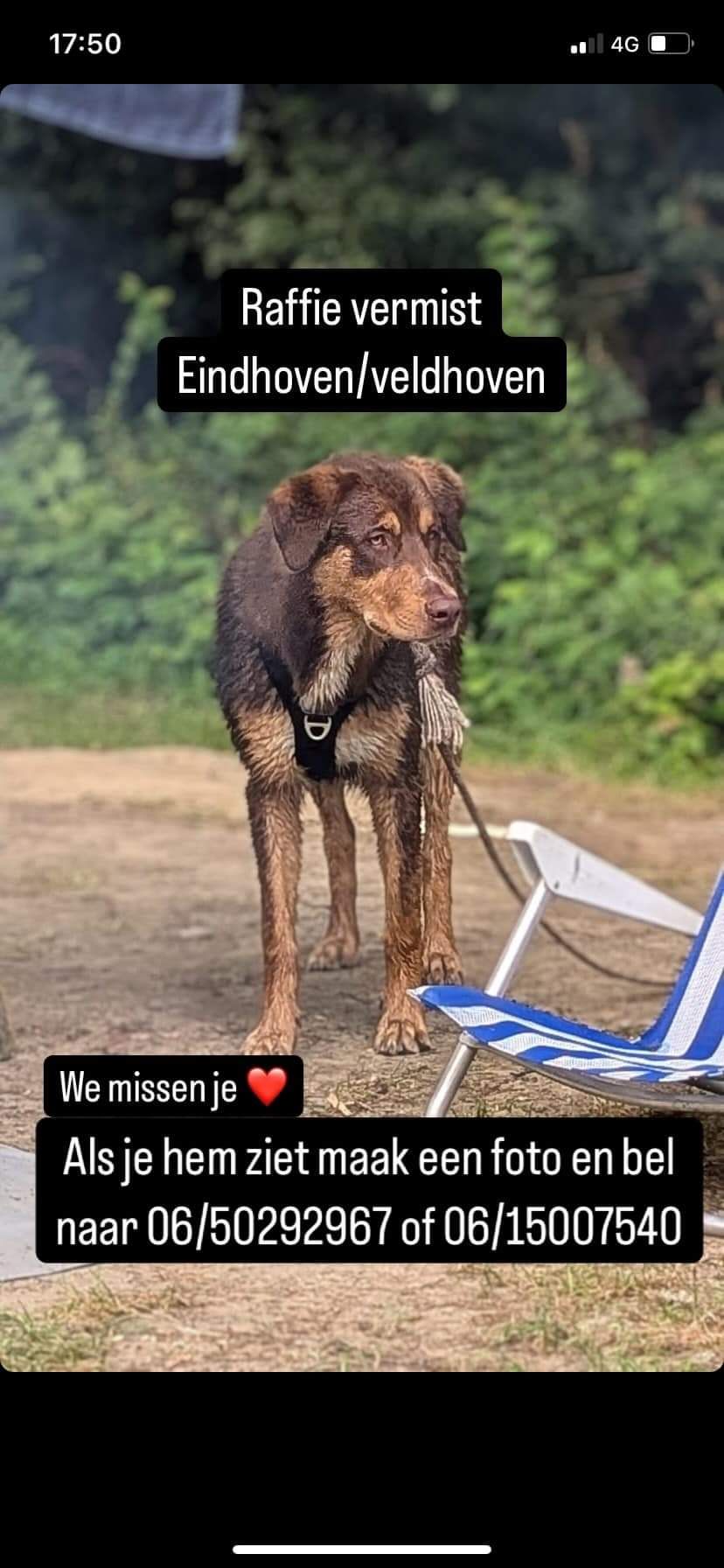 Raffi - Lievendaal, Eindhoven