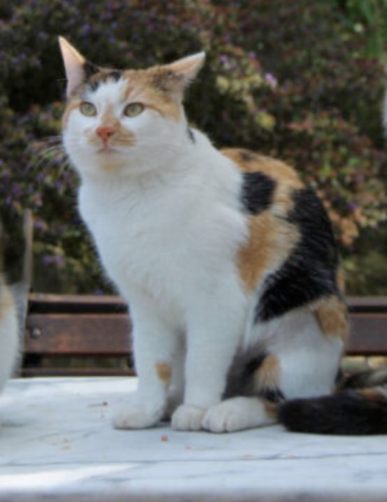 Smilla - Sachsenwaldstraße 33A, Kuddewörde