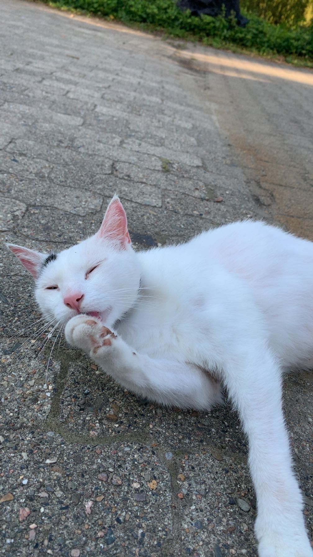 Lukas  - Seerau in der Lucie, Lüchow