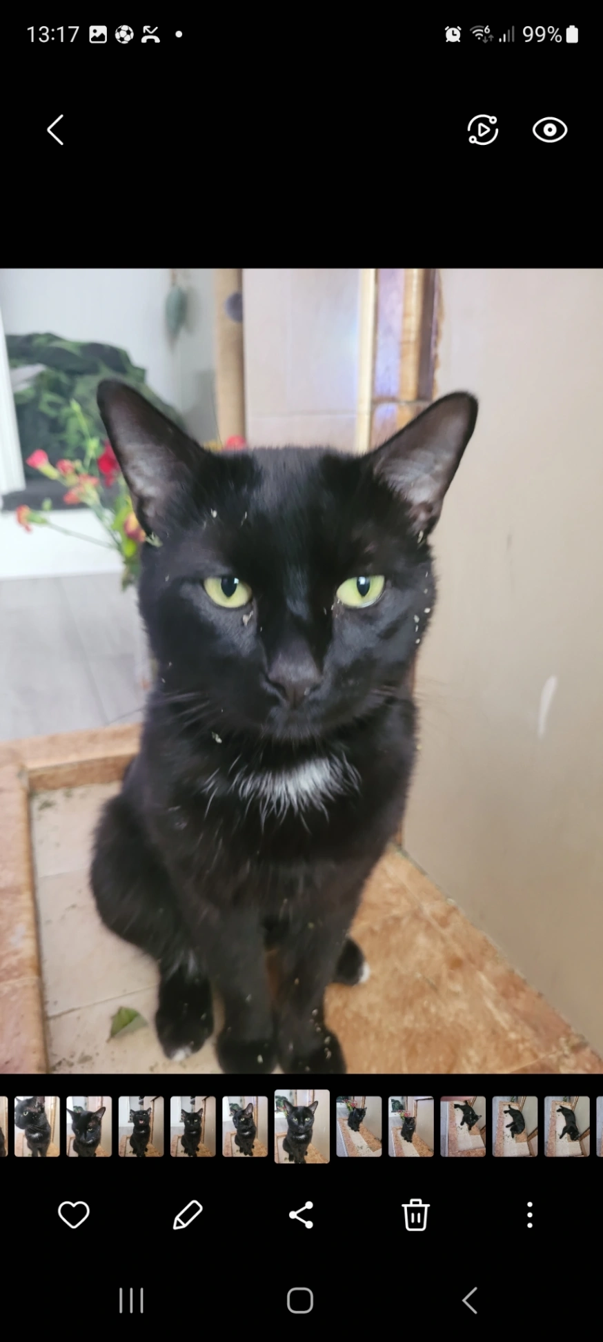 Gizmo - Stuart Street, Leicester