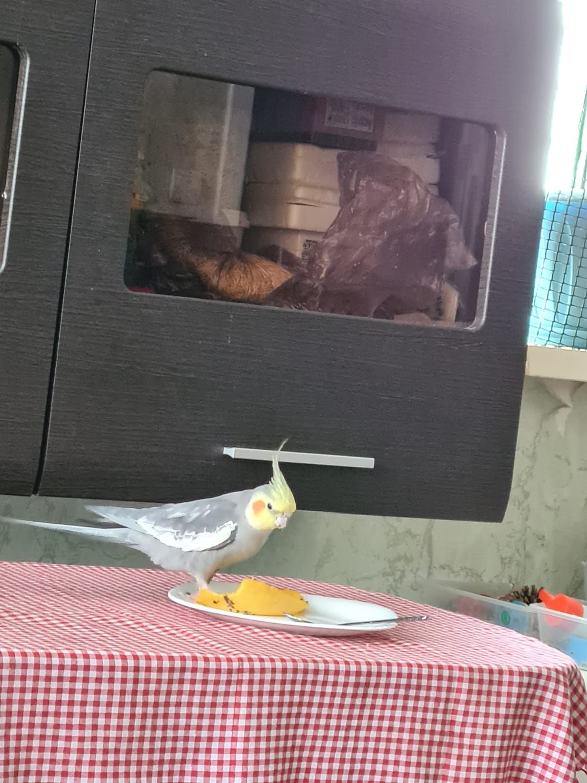 Кирюша - Южная Улица, Novorossiysk