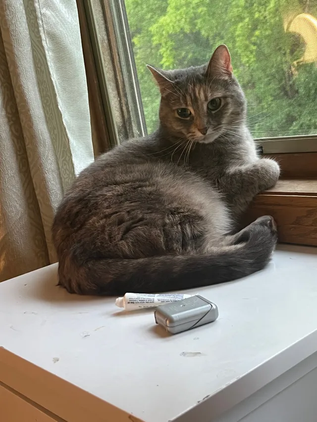 Maisy - 410 Wyndham Cir W, Saint Paul