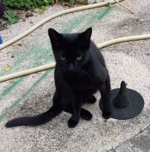 Mia - Rue des Quatre Vents, Besançon