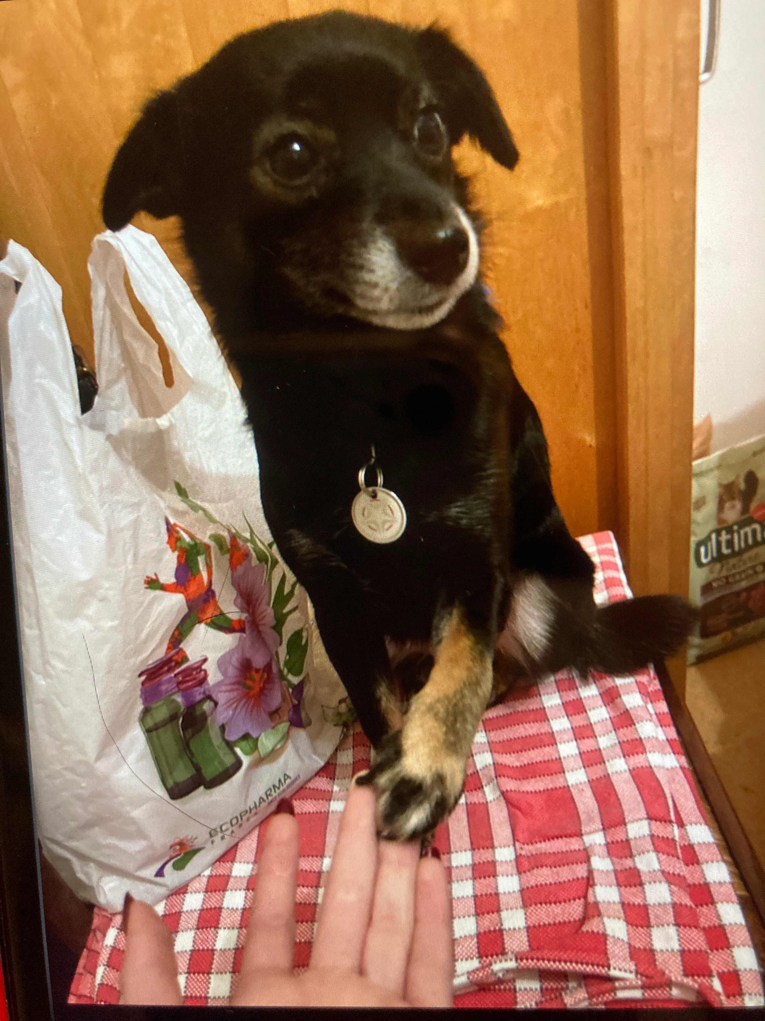 Gus - 23 Rue des Pèlerins, Obernai