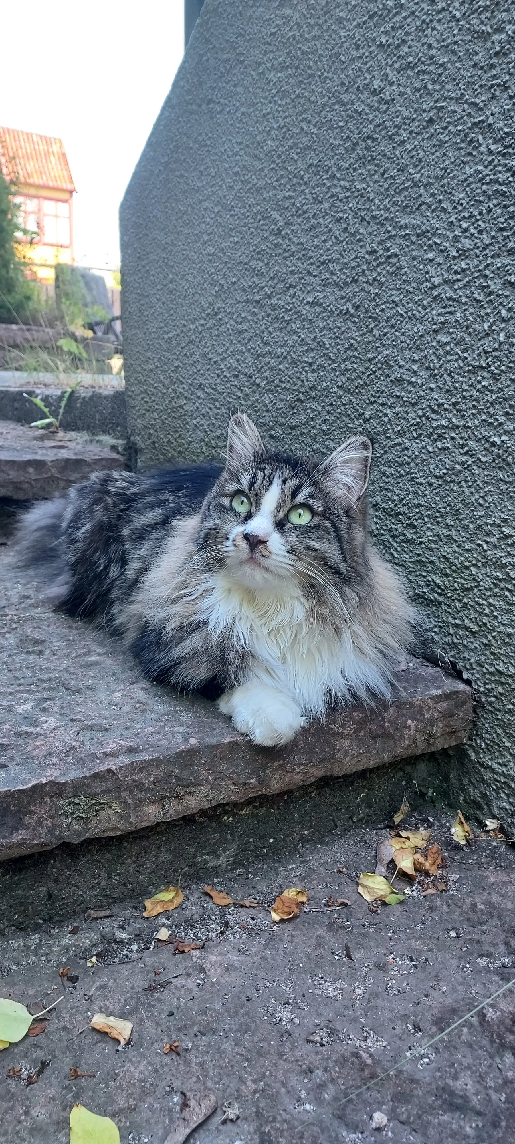 Lucy - Långbrodalsvägen 48, Stockholm