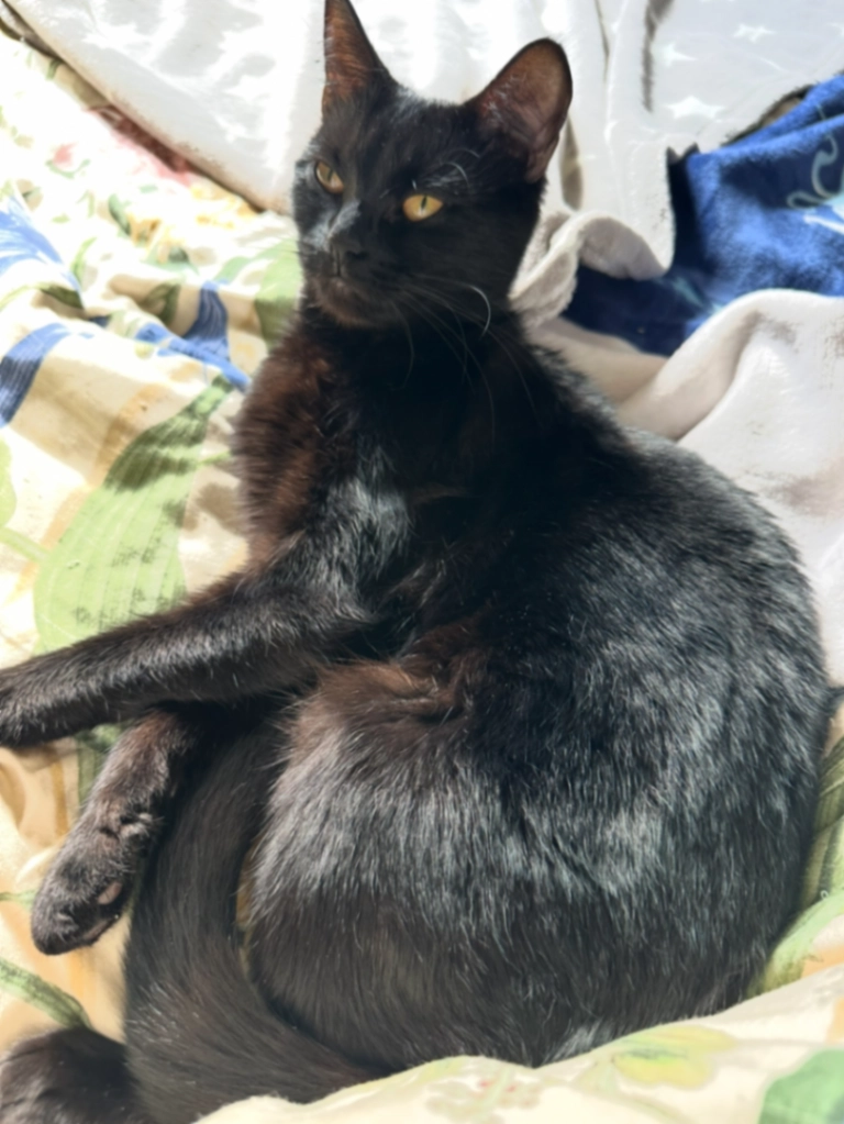 Isis - Bevill Square, Manchester