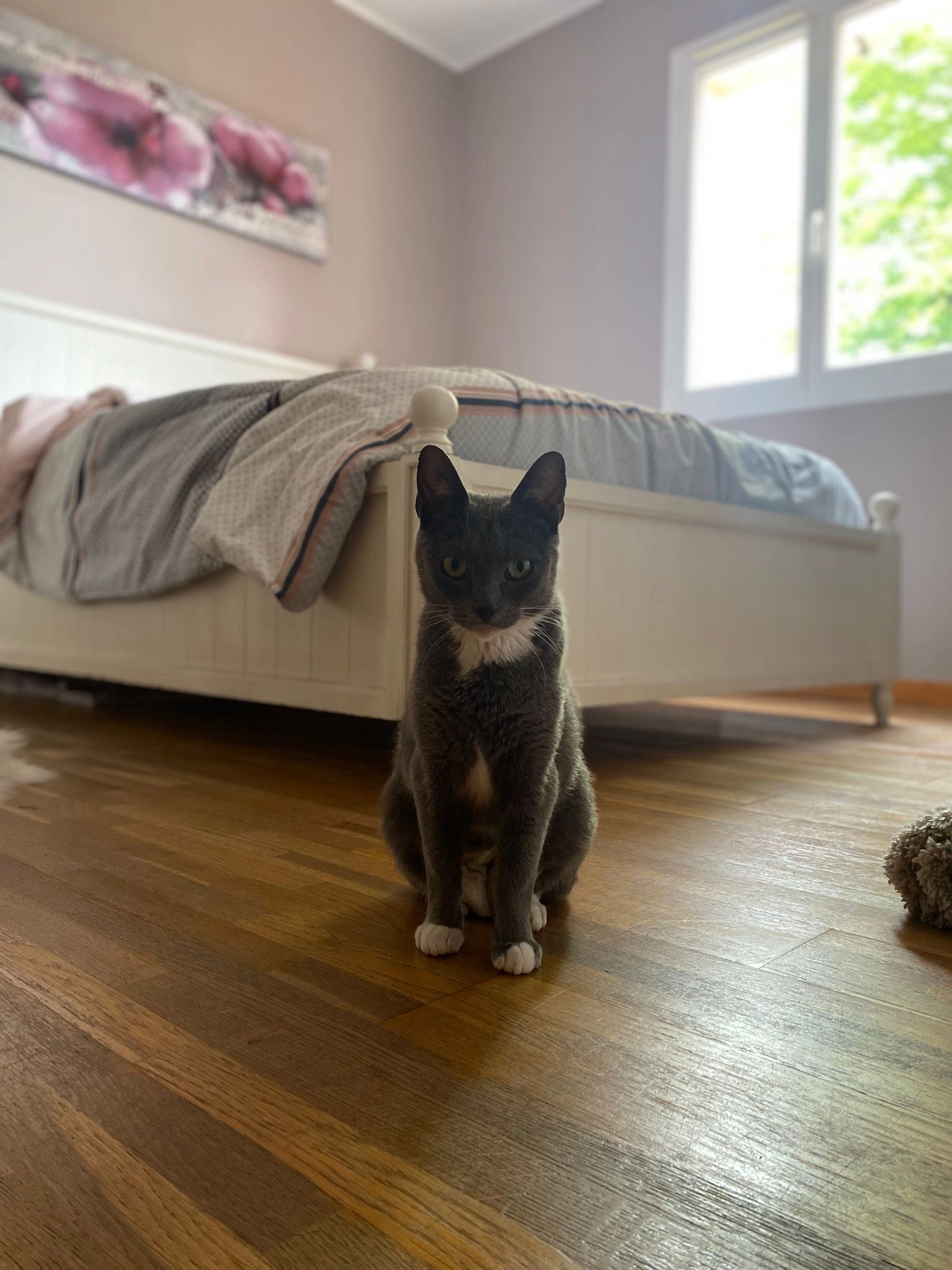 Lilas - Route de Roumagne, Allemans-du-Dropt