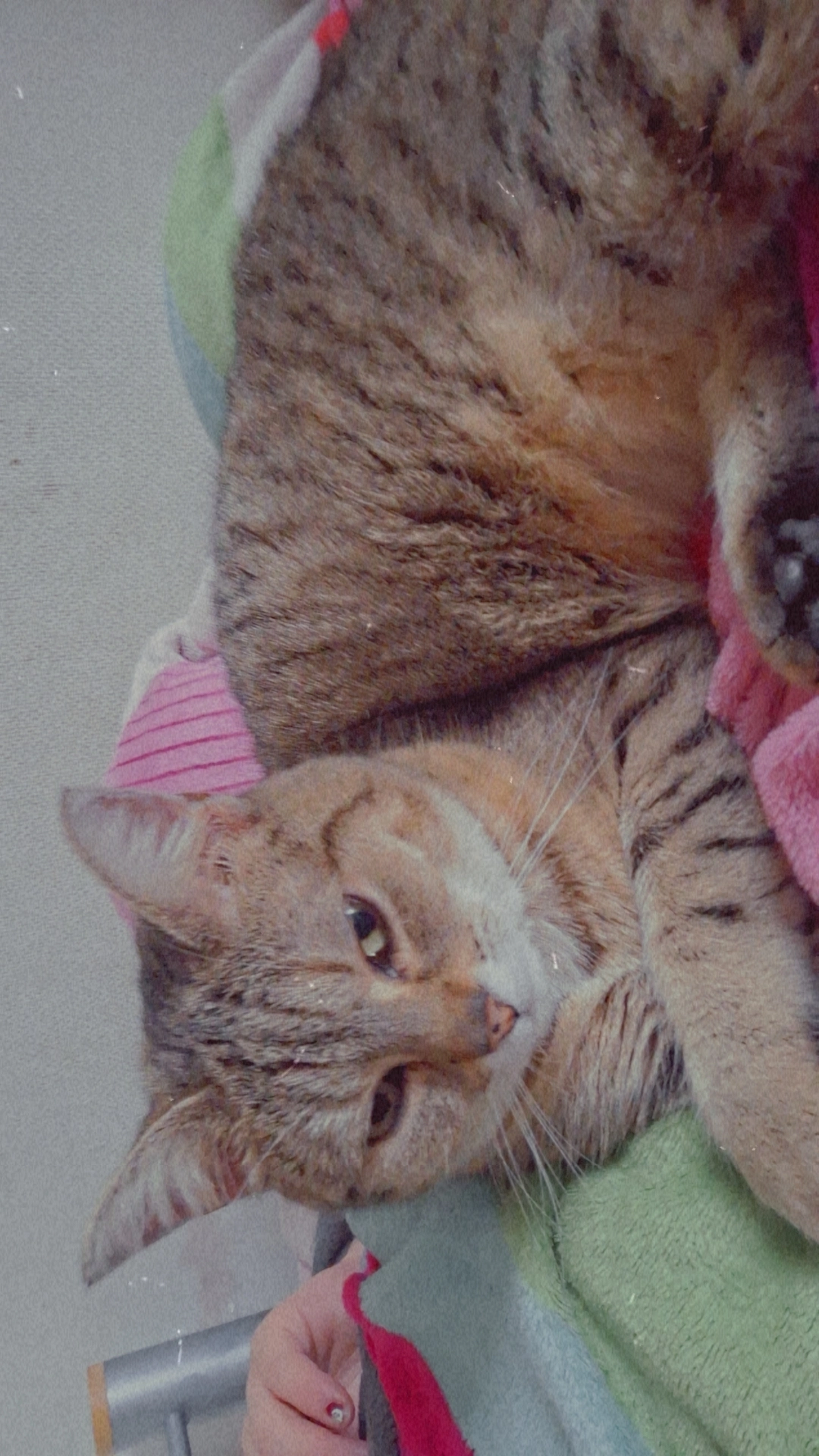 Athena - Rue de la Remise, Charleroi