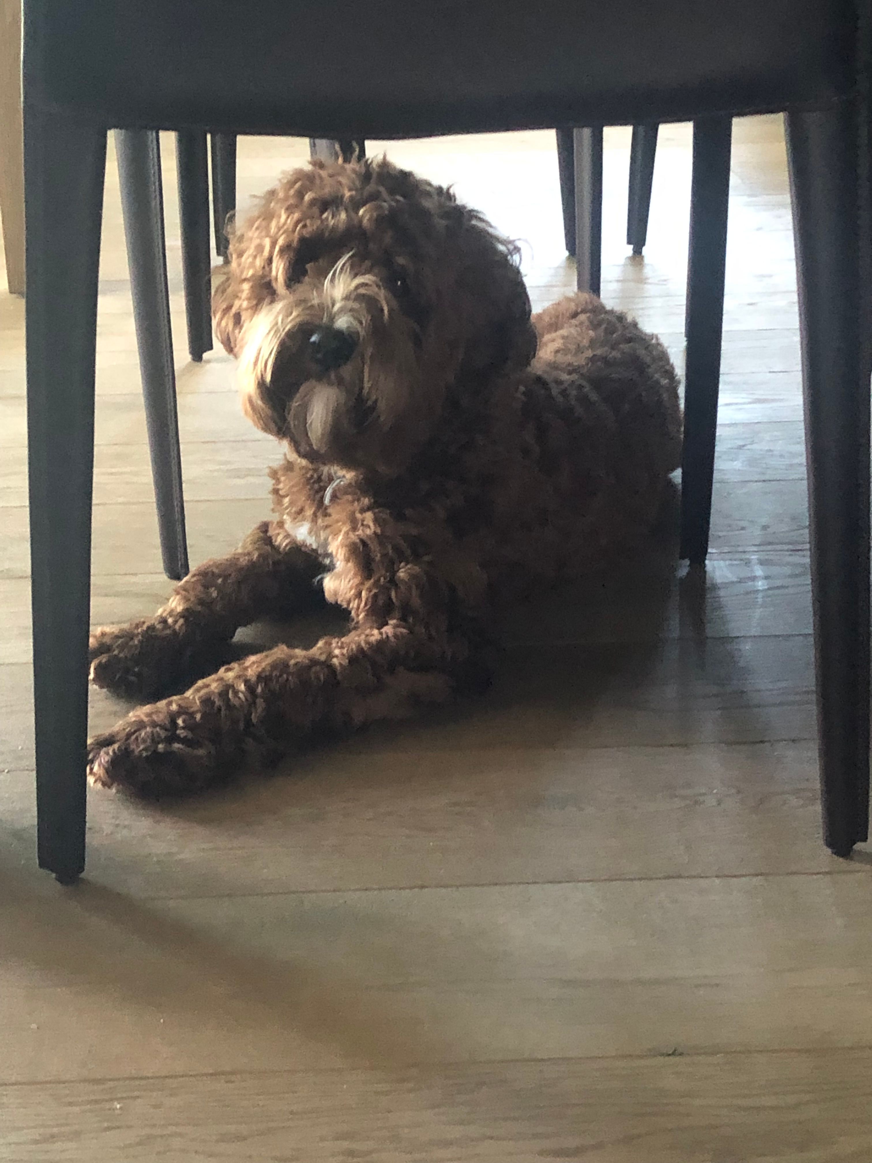 Jacky - Baliestraat, Kortrijk