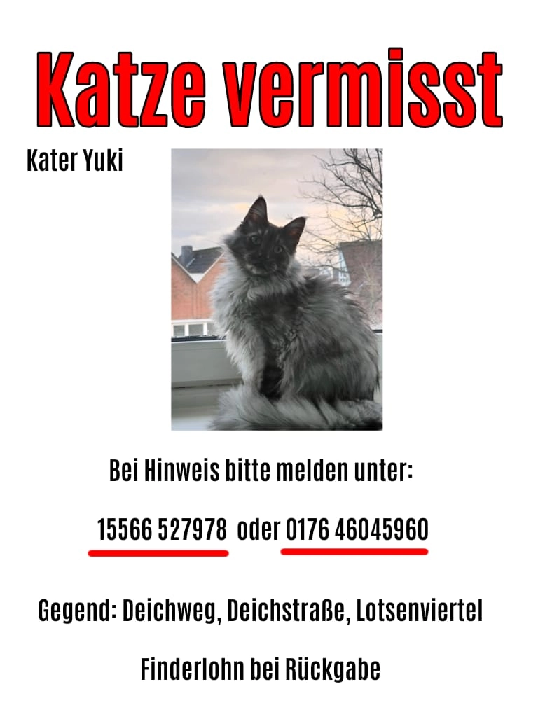 Yuki - Alter Deichweg, Cuxhaven