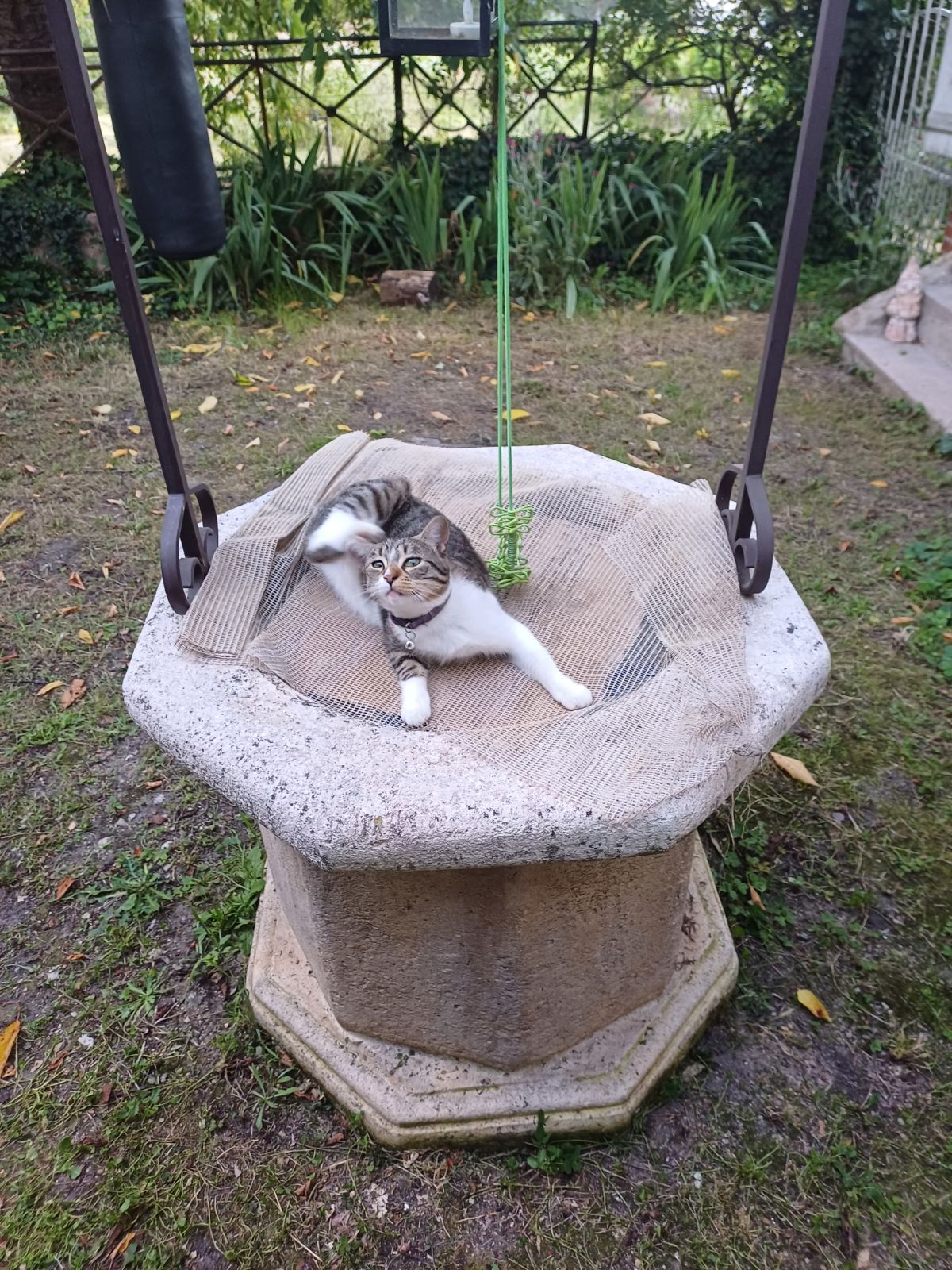 Iris - Place de l'Église, Châtres-sur-Cher