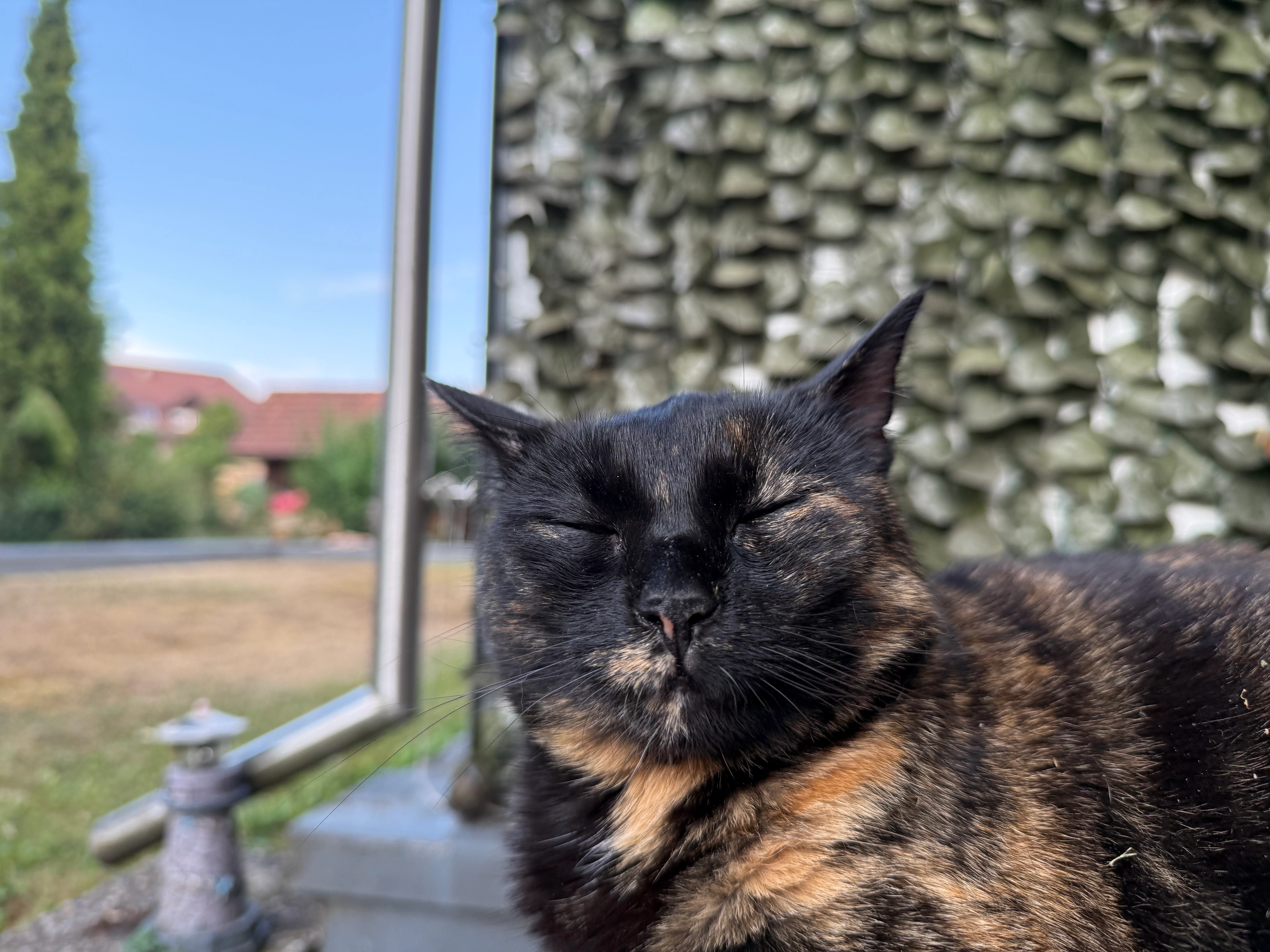 Diva - Philosophenweg, Offenburg