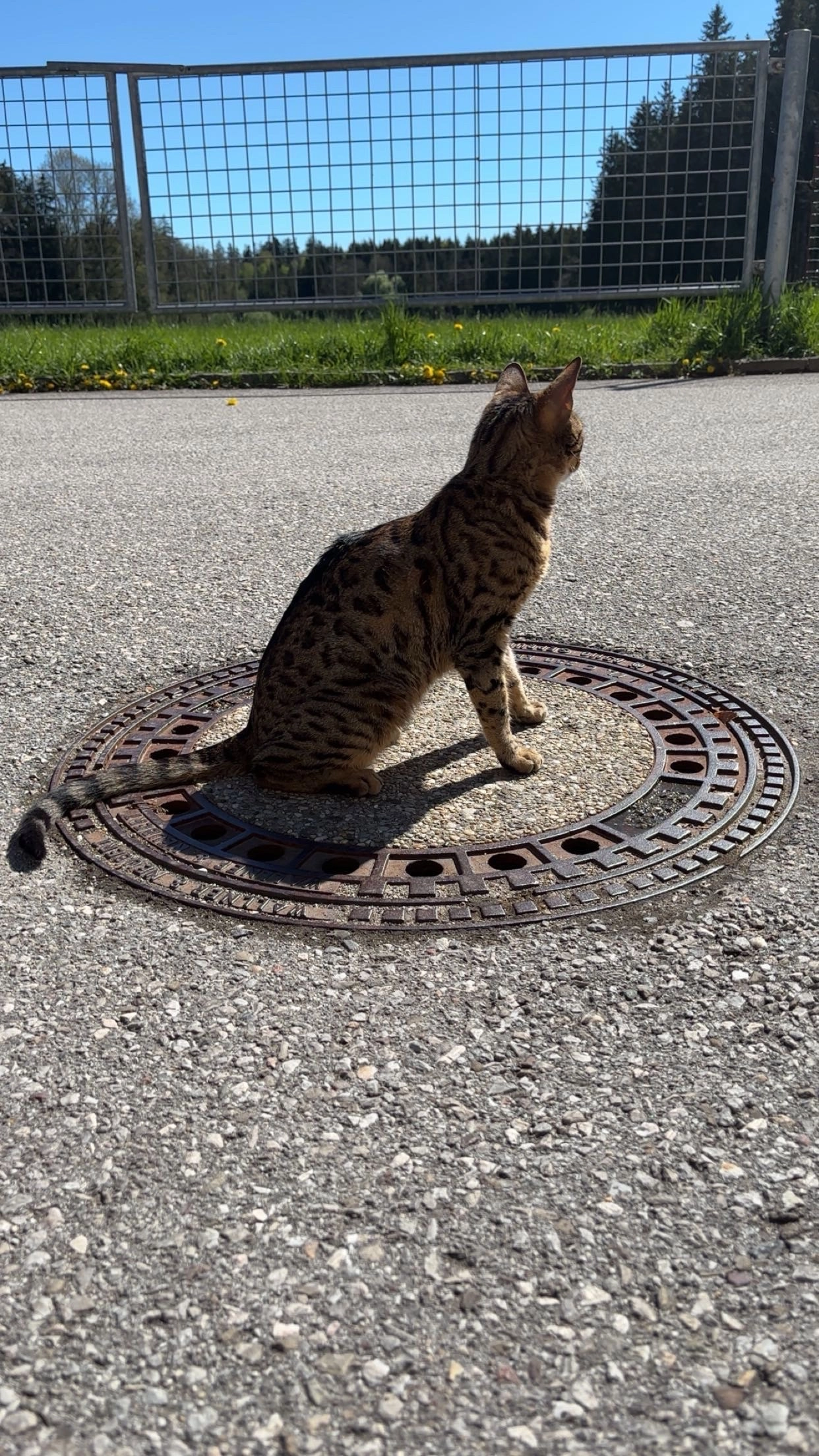 Kira - Friedhofstraße, Bürmoos