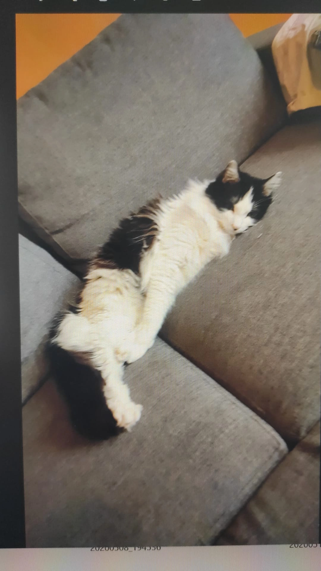 Mouffle - Rue La Fontaine, Valence