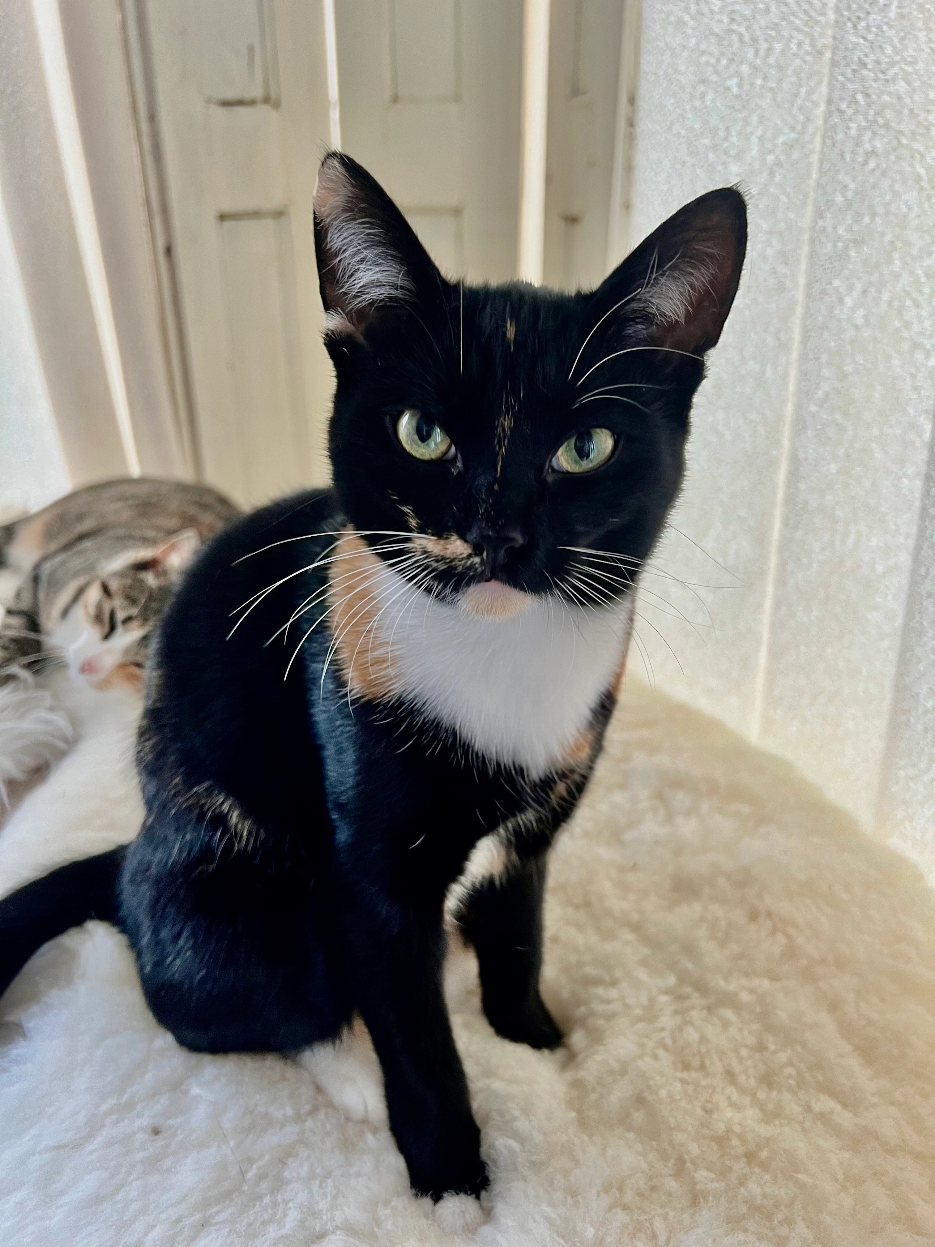 Mars - Binnenweg, Nijeveen