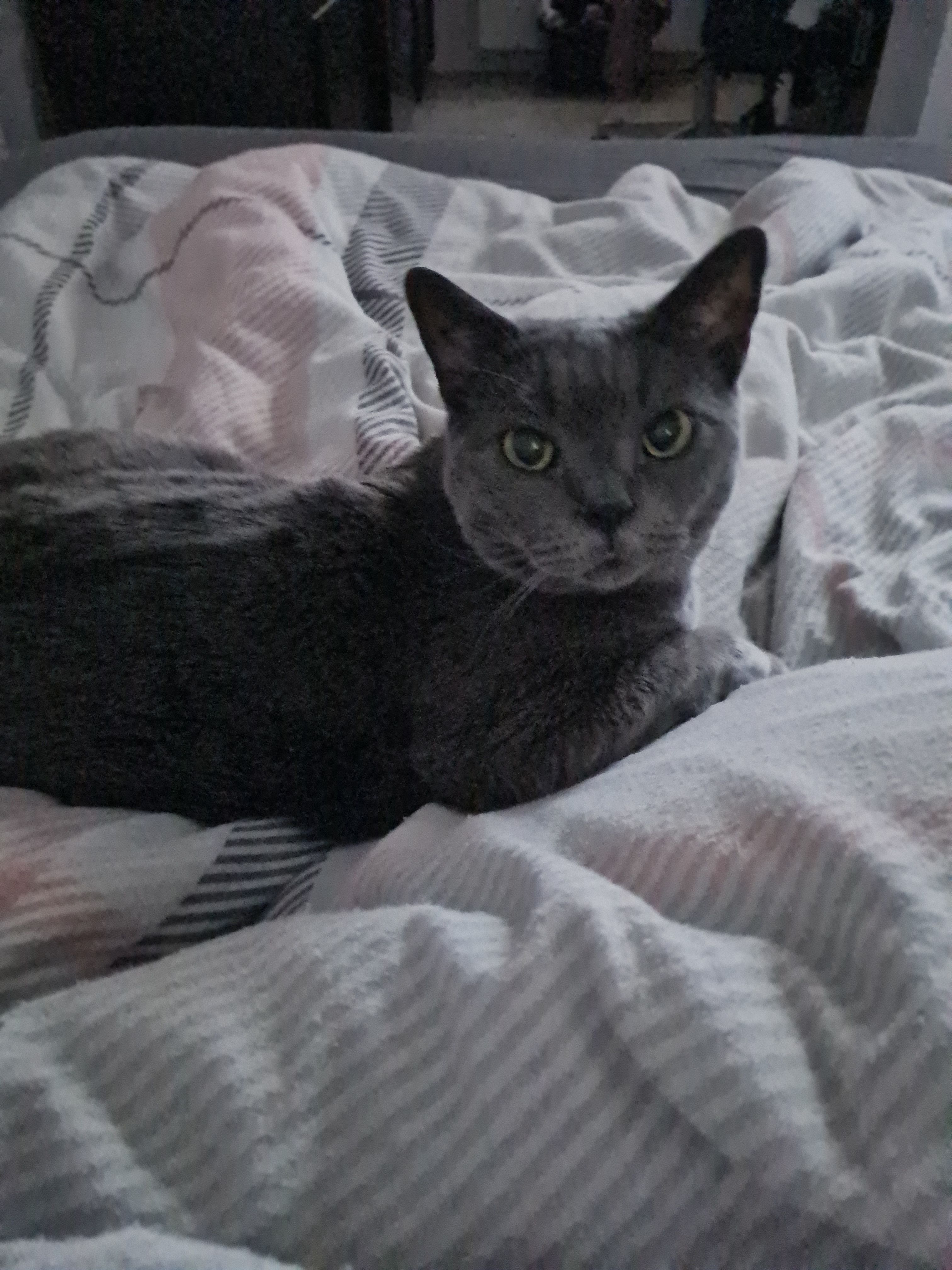 Loki - Kreisstraße, Urbach