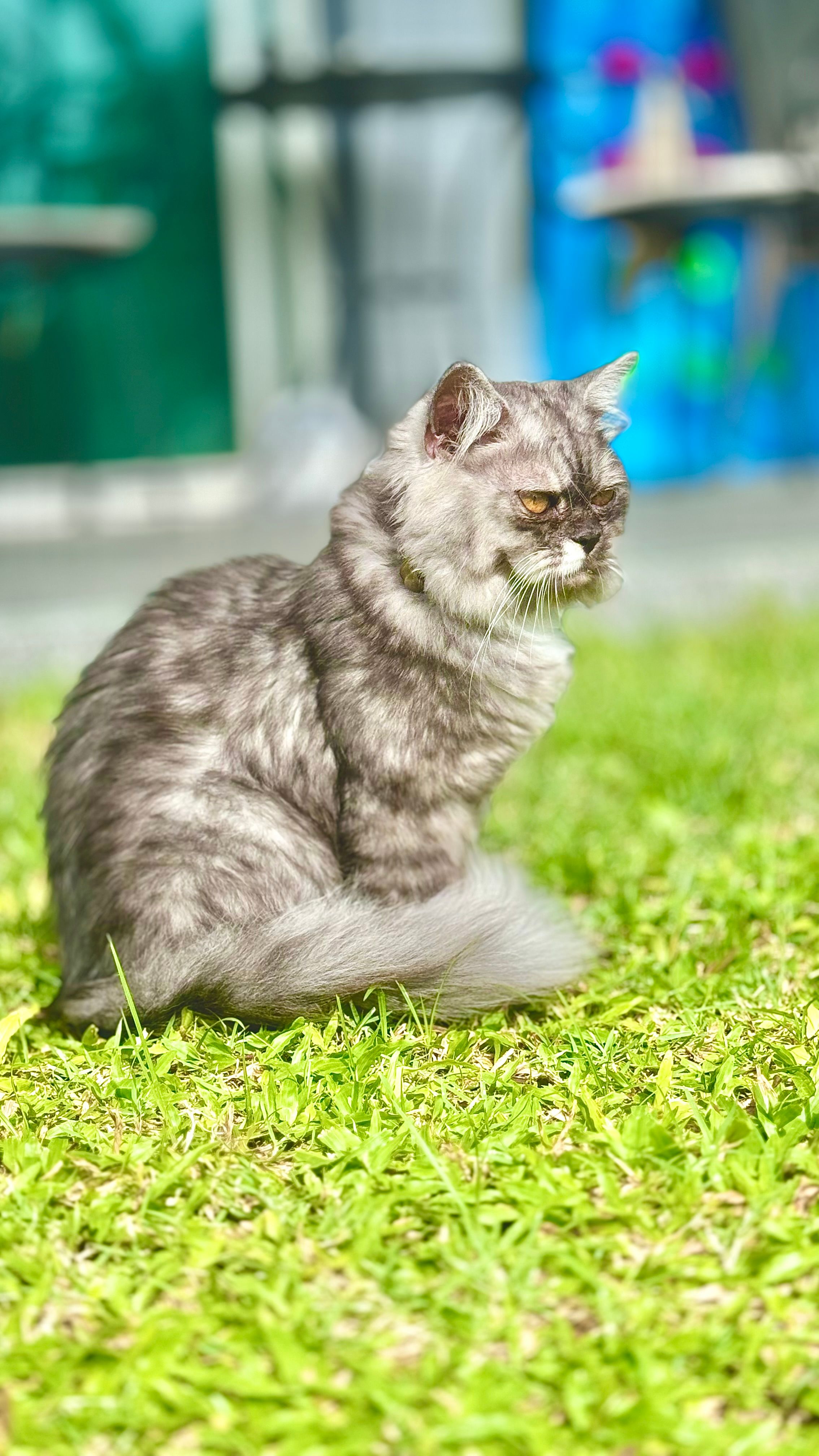 Funny - Soi Kataburi, Mueang Phuket