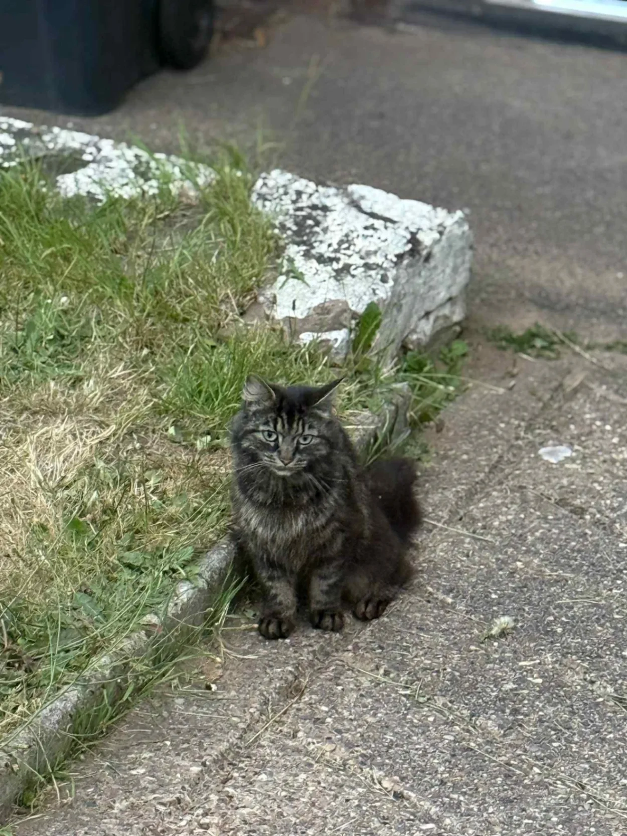 Grisha - NG18 2, Mansfield