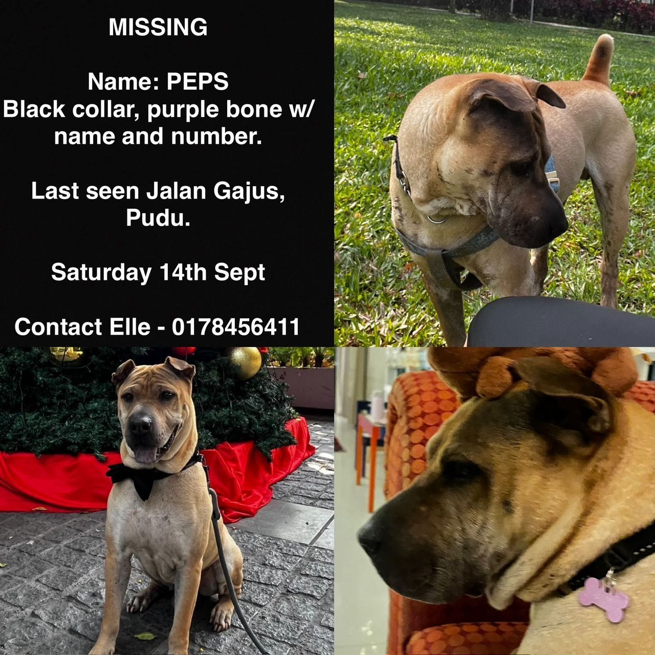 Pepe - 55200, Kuala Lumpur