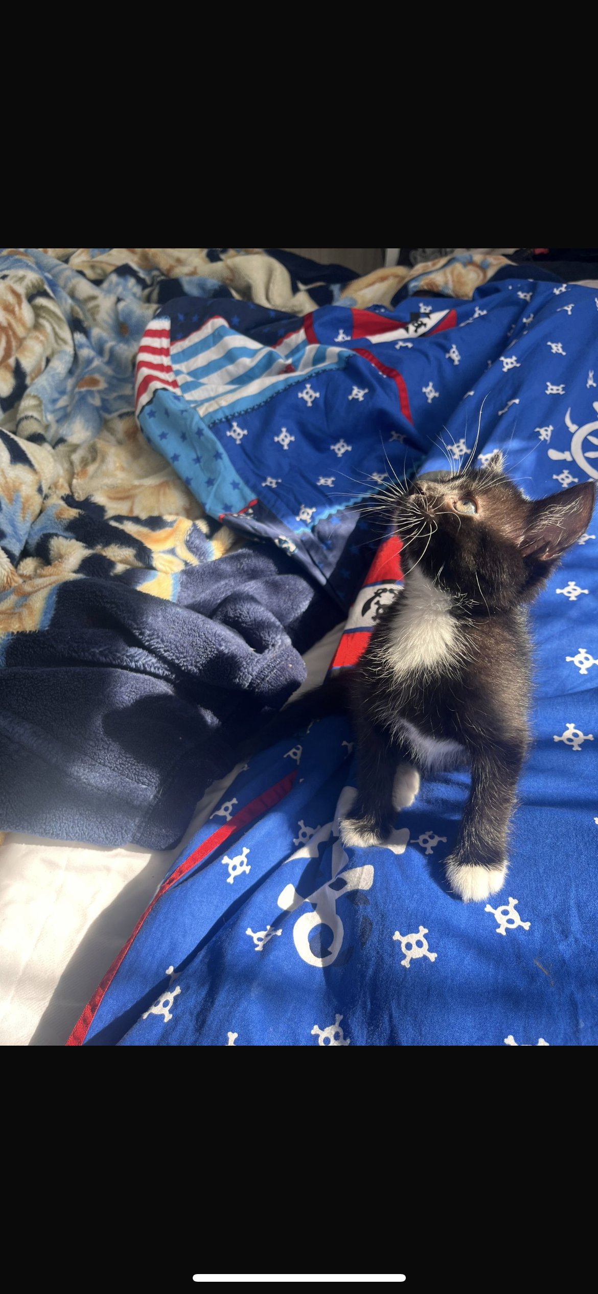 Simba - Alte Siedlung, Coppenbrügge