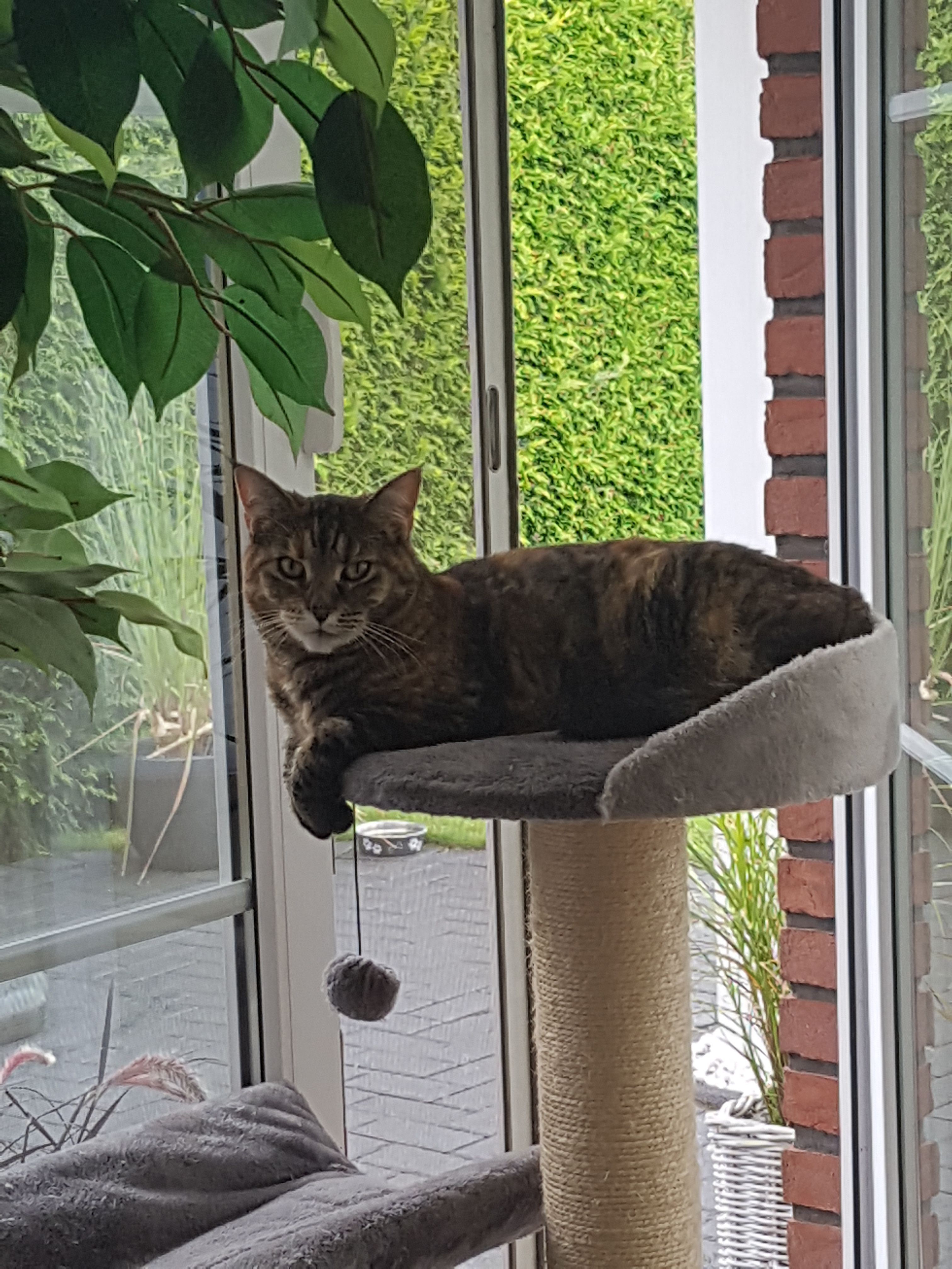 Nala - Lüneburger Straße 229D , Winsen/Borstel