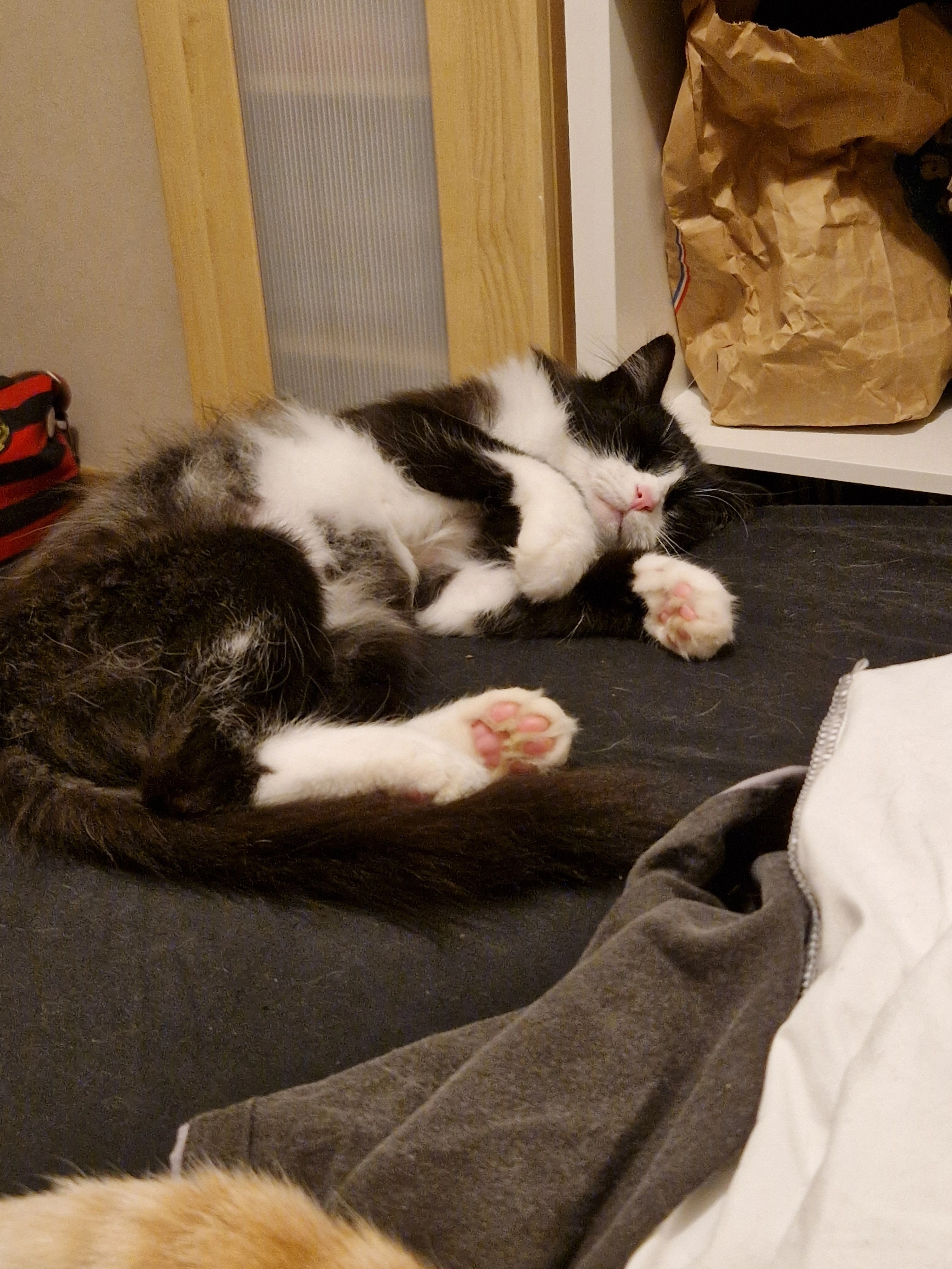 Kirito - 13 Rue Luis Mariano, Floirac