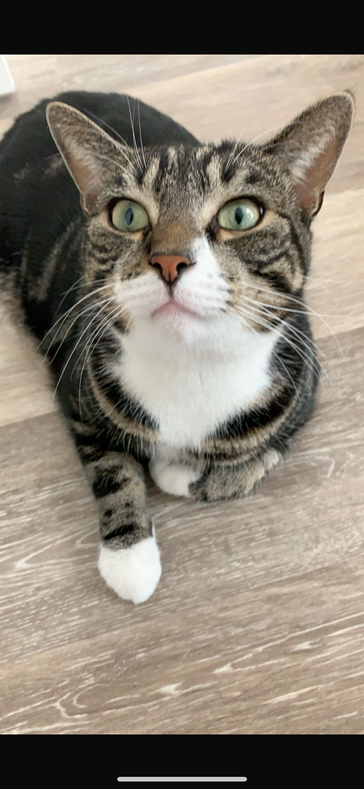 Filou - Hauptstraße, Damshagen