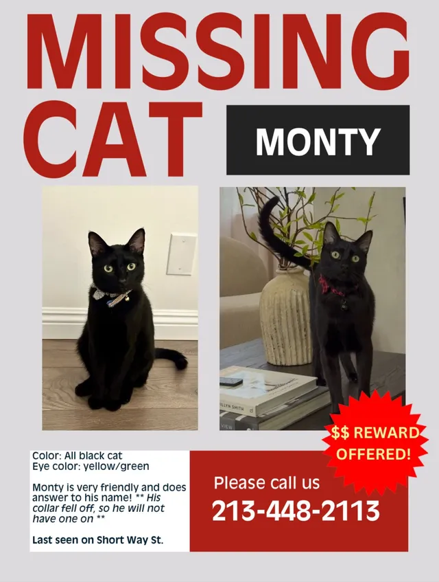 Monty - Short Way, South Pasadena