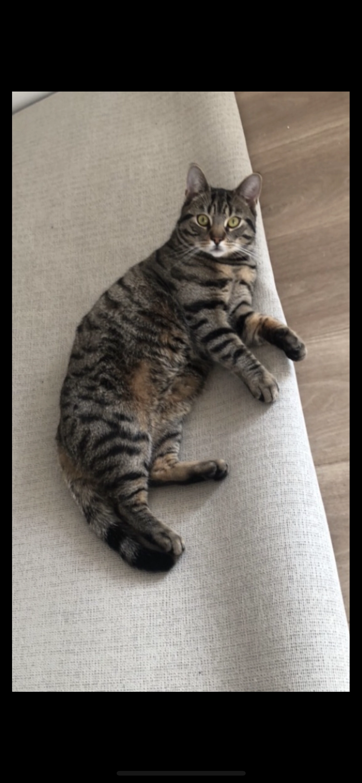 Bonnie - Dorpsstraat, Renkum