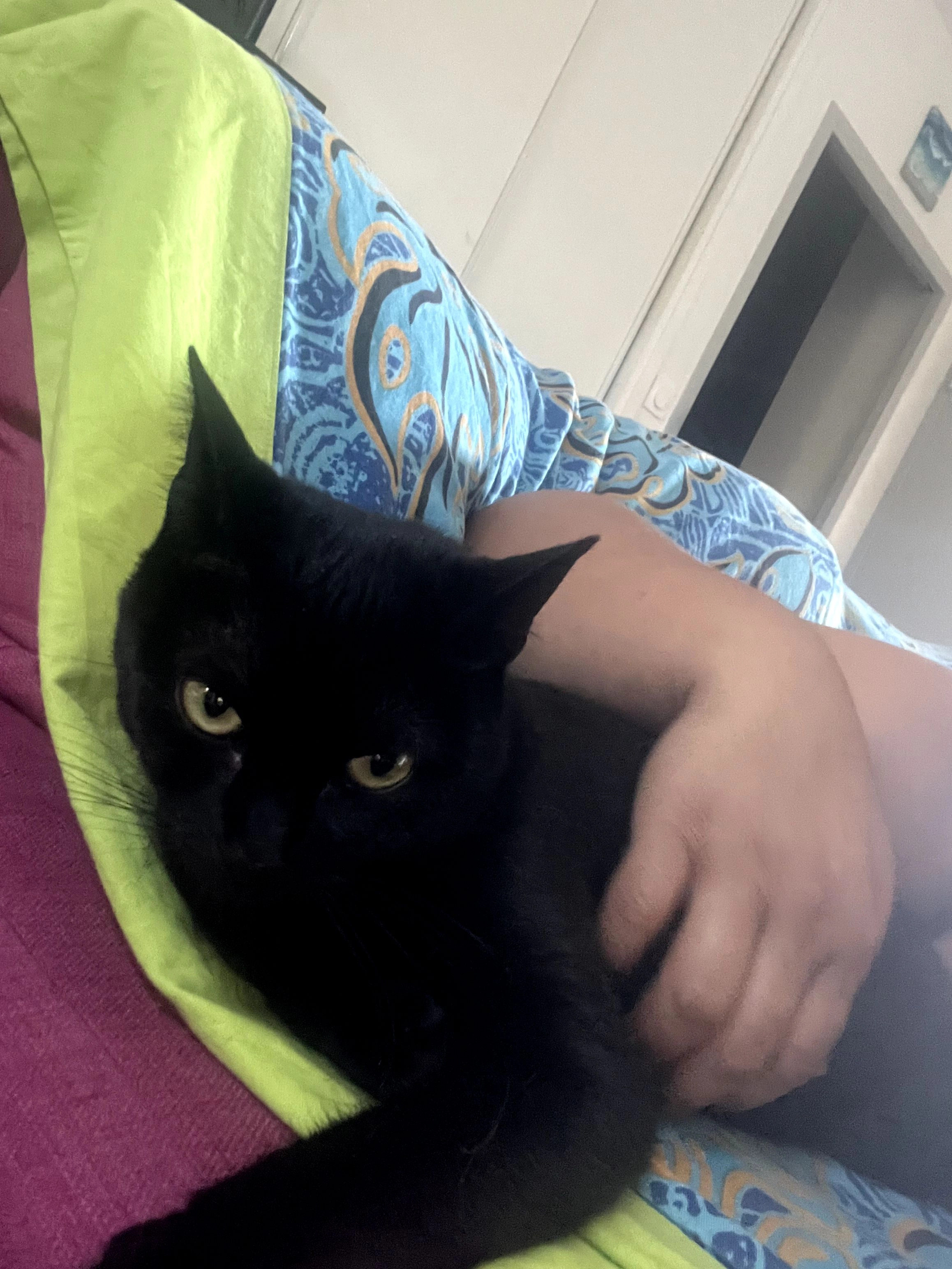 Manaia - Rue de la Vallée, Verrières