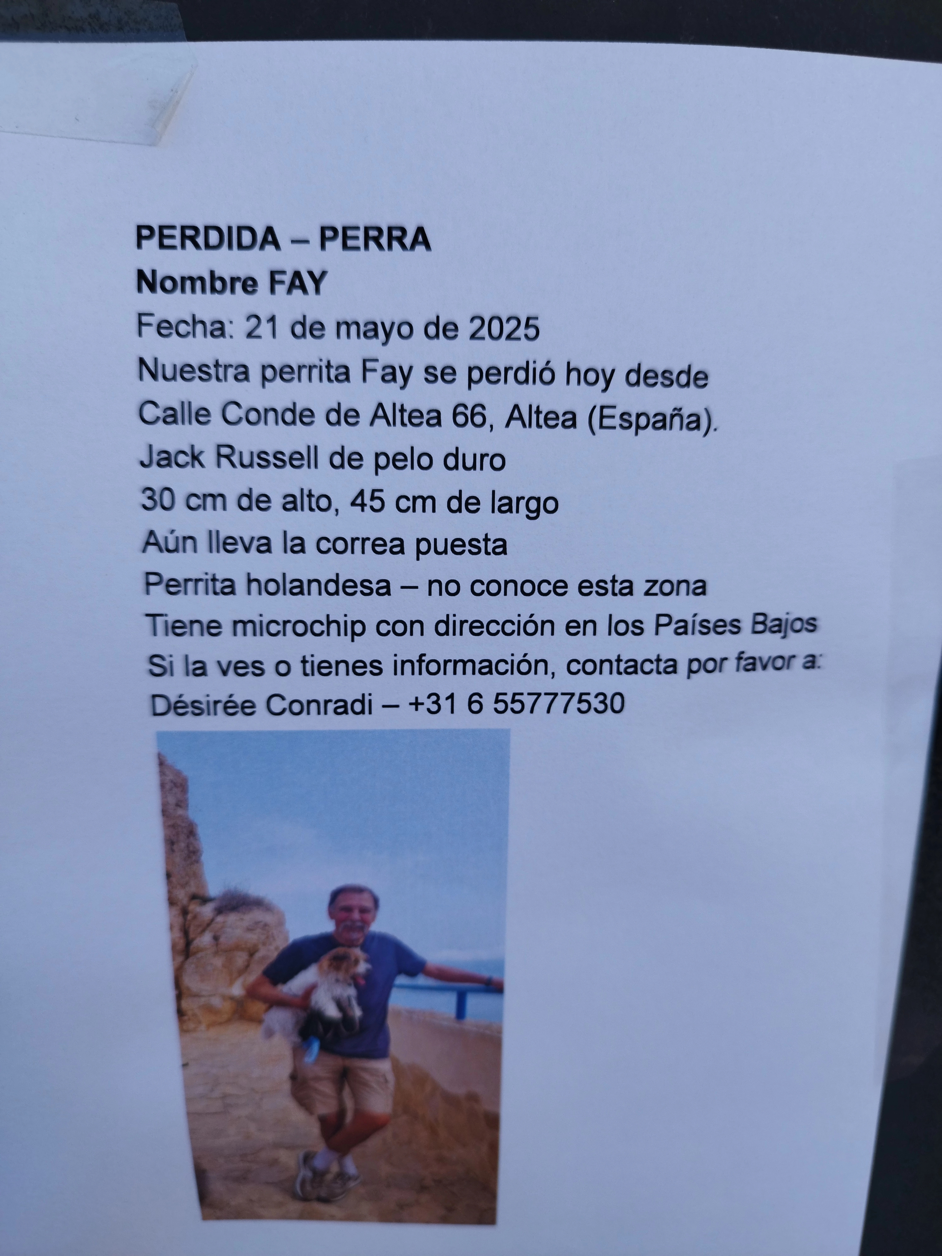 Fay - Calle del Conde de Altea 66, Altea