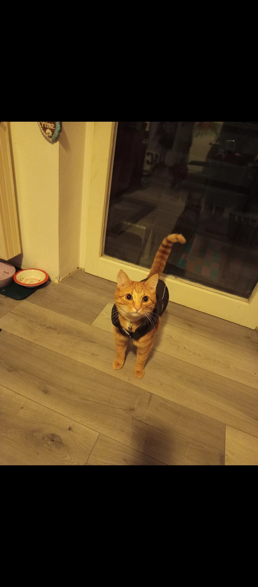 Krümel - Bahnhofstraße, Wildpoldsried