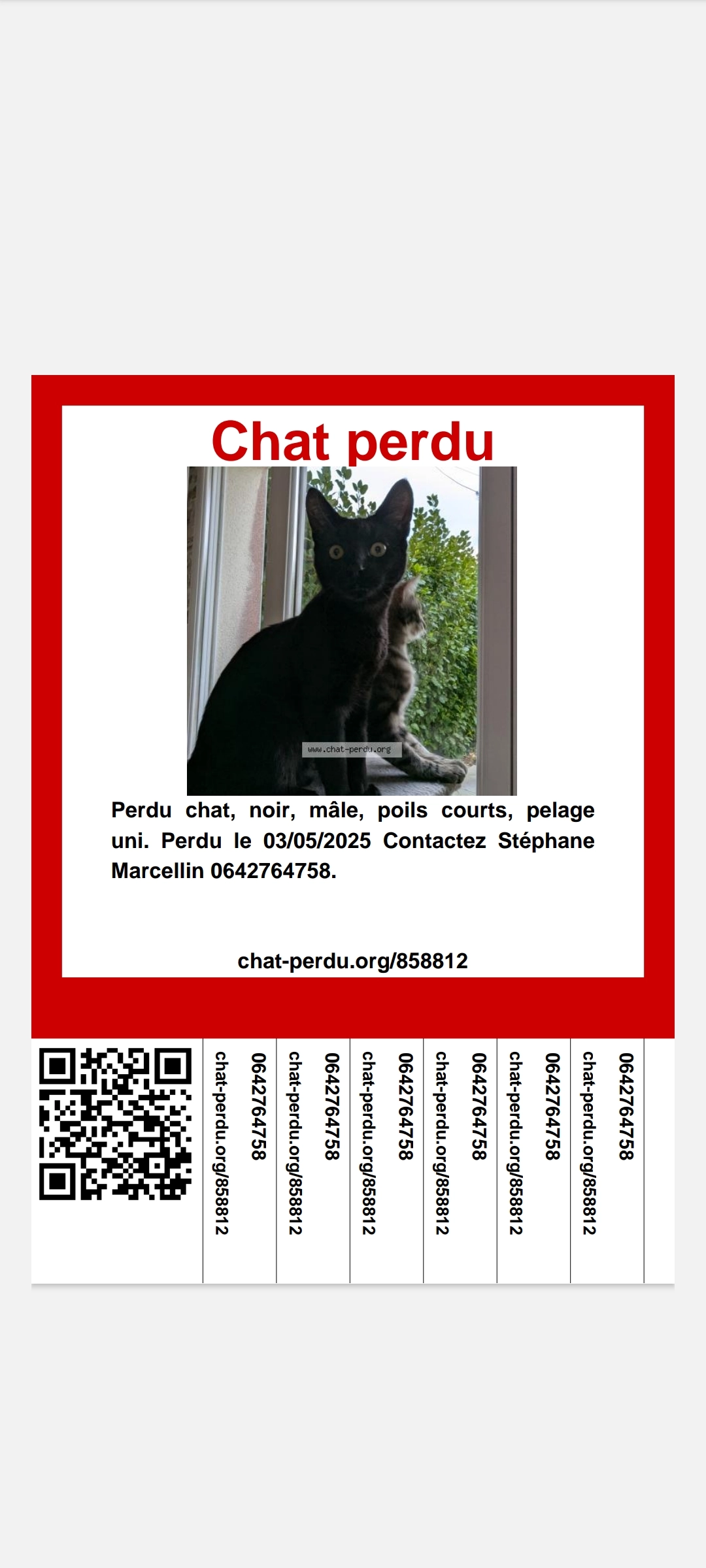 Merlu - 27 Rue Joseph Le Borgne, Brest