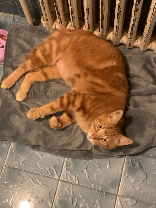 Namour - 69 Rue des Bains, Boulazac-Isle-Manoire