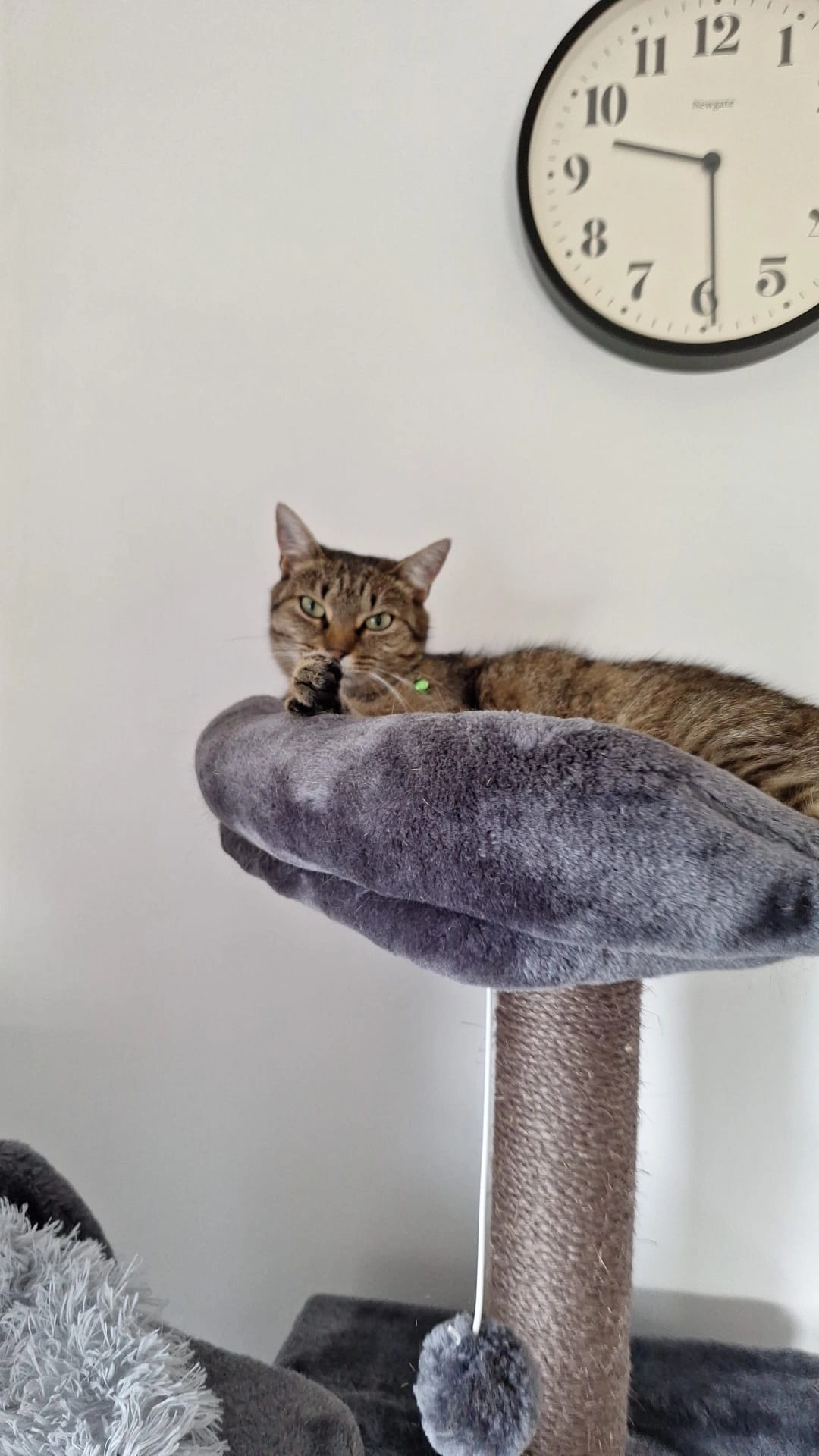 Mimi - Am Zollhaus, Rehlingen-Siersburg