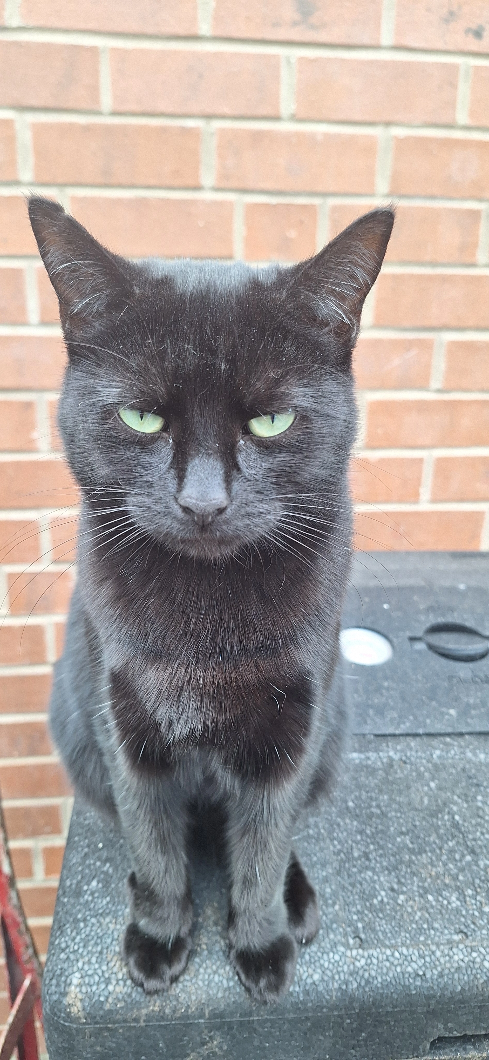 Edith - Wetherby Road, York