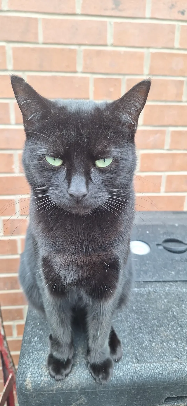 Edith - Wetherby Road, York