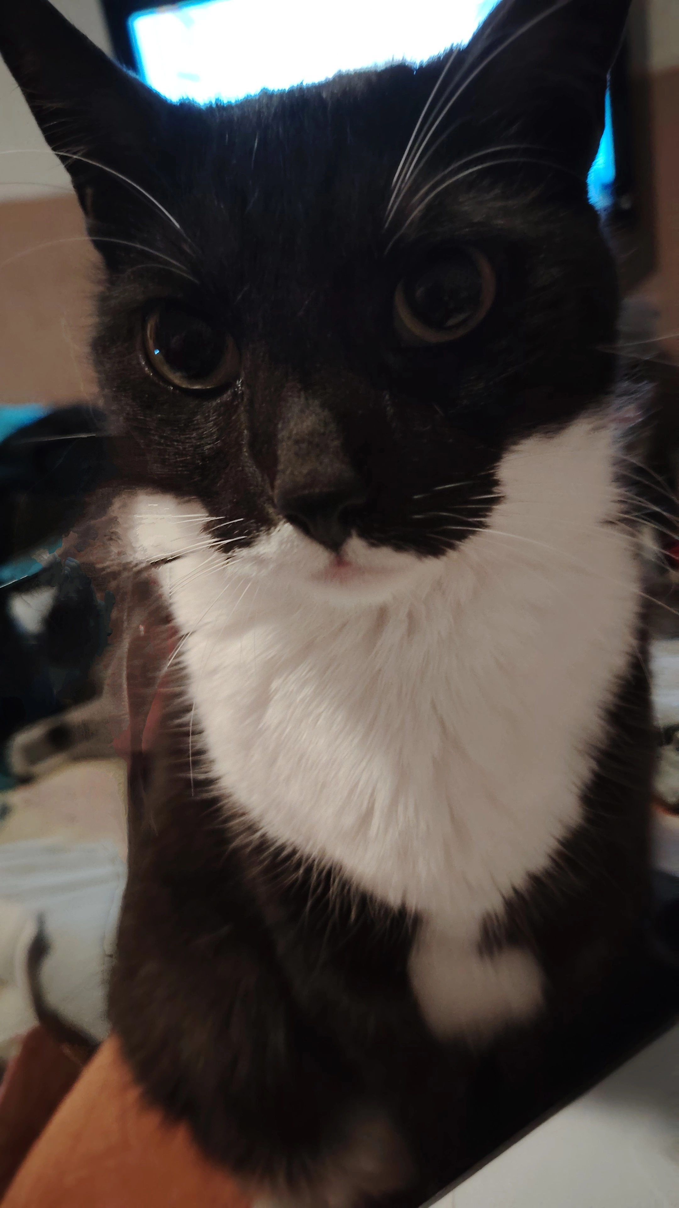 Balu - Feldstraße, Sandersdorf-Brehna