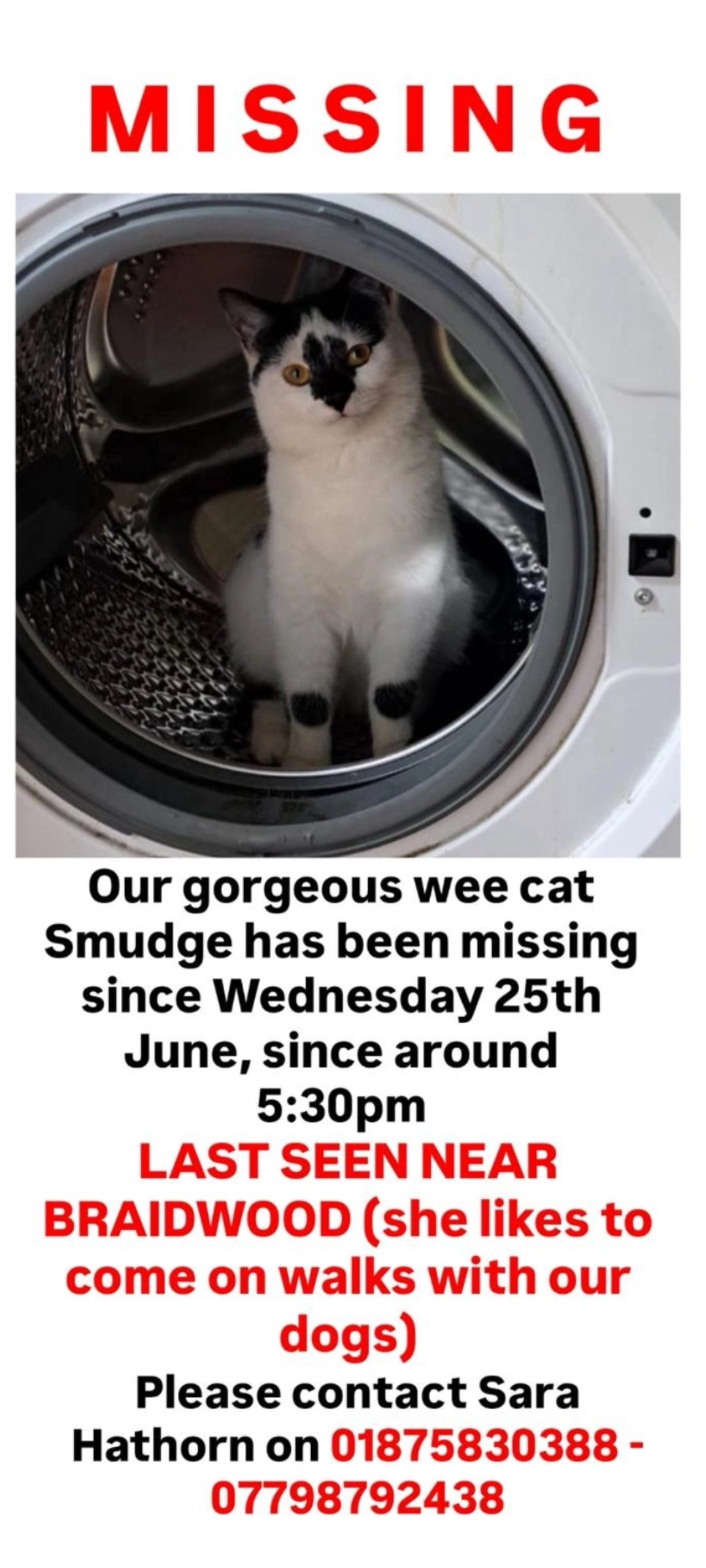 Smudge - B6372, Gorebridge