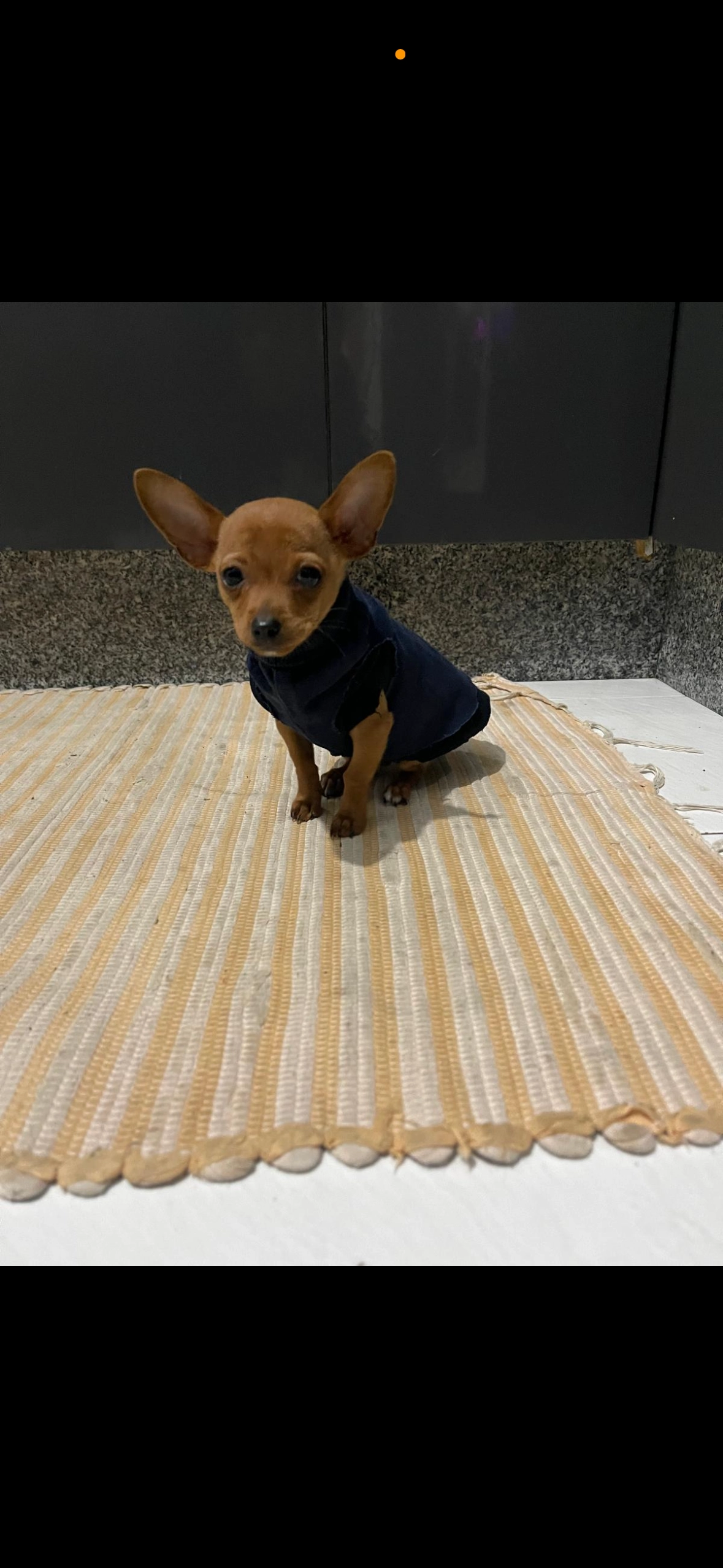 Bimbo - Calle Teixugueiras, Vigo