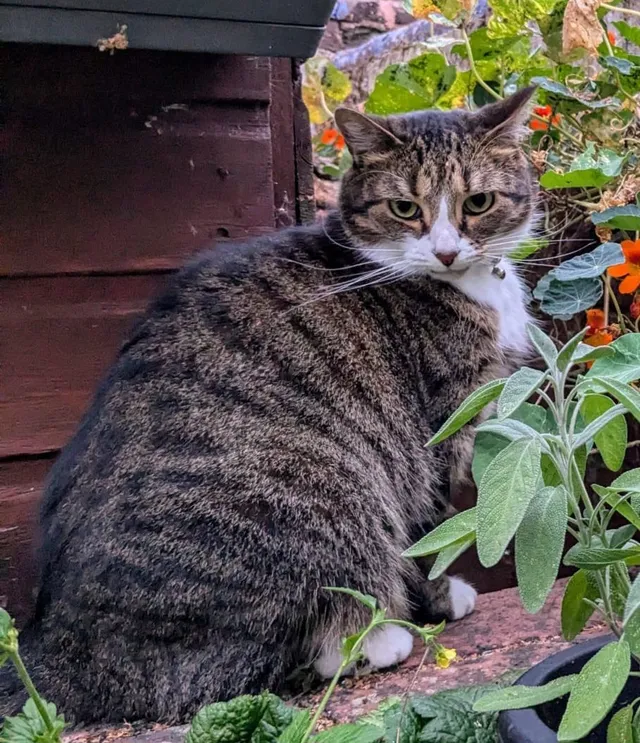 Hiro  - Powderham Road, Exeter