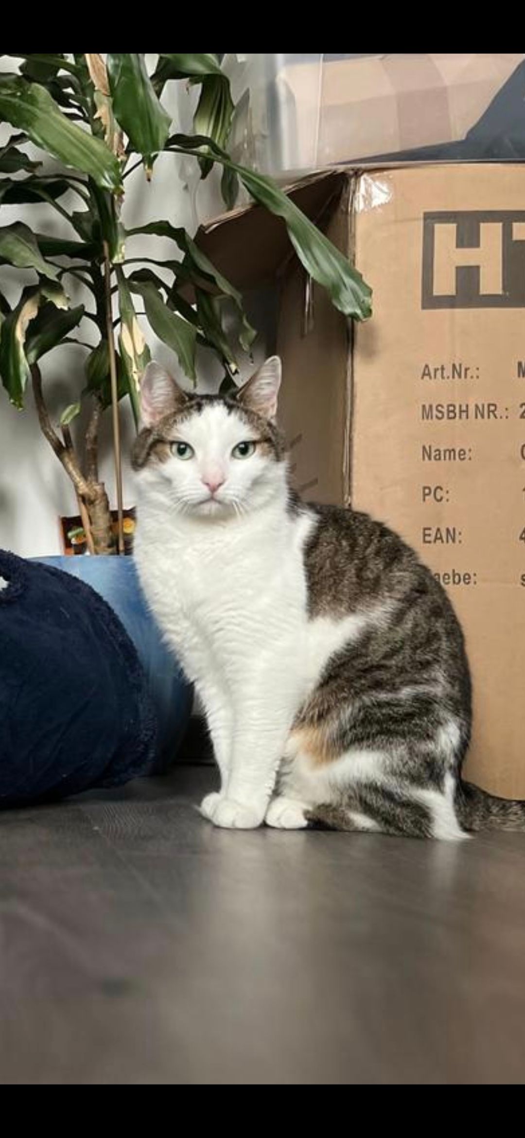 Krümmel - Radaustraße, Bad Harzburg